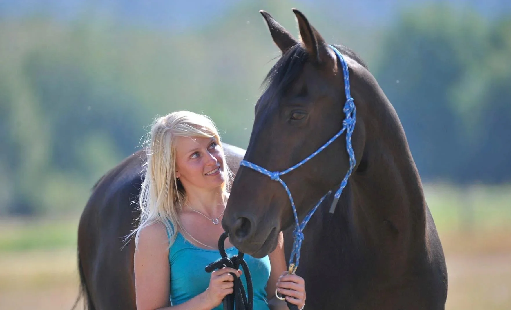 A woman with blonde hair wearing a blue tank top standing next to a black horse with a blue halter in a natural outdoor setting.