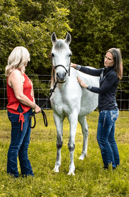 An equine nutrition advisor, a female client and a white horse in a grassy field with trees and a fence in the background.