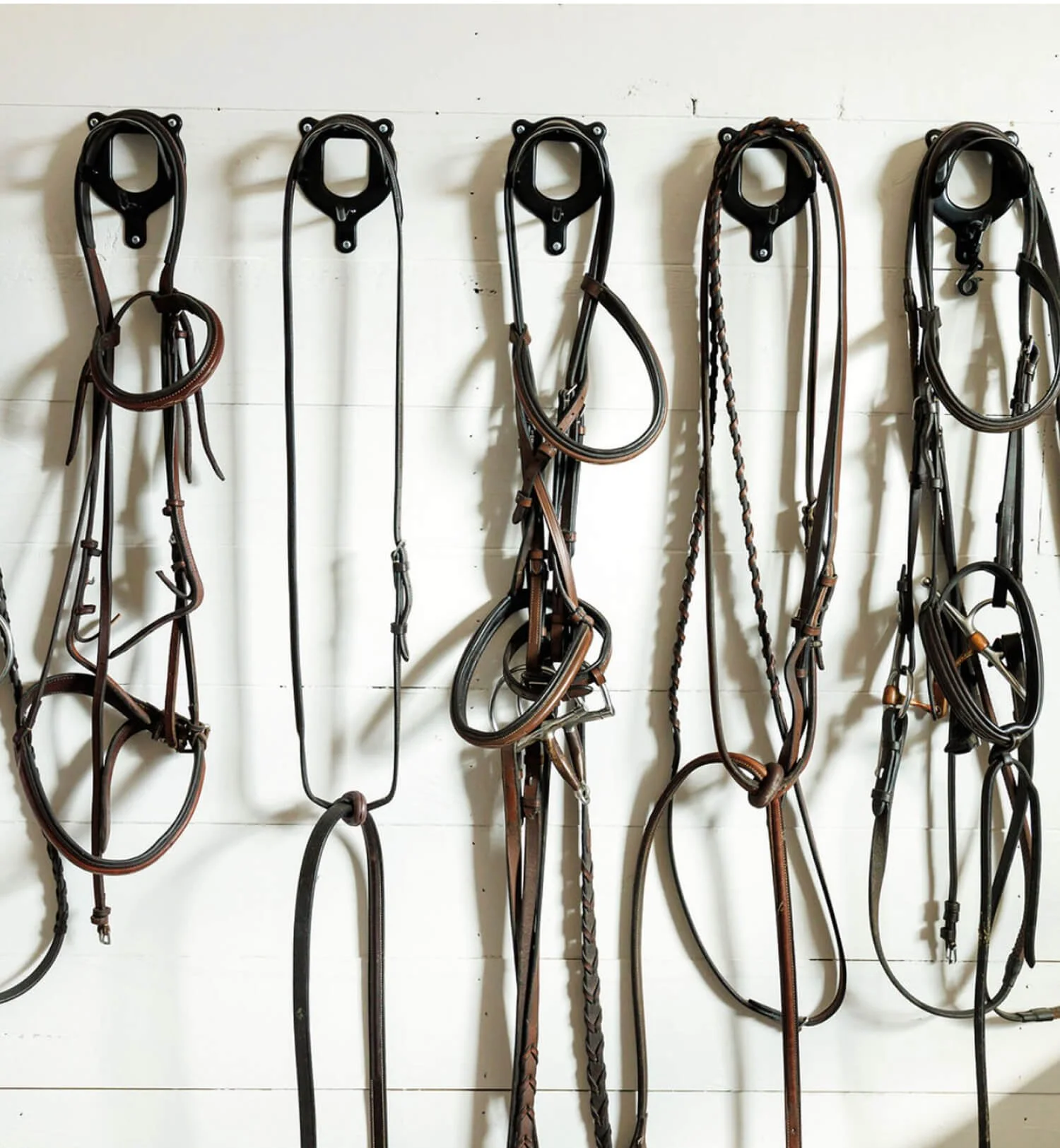 A tack wall with various horse bridles and bits hanging on hooks.