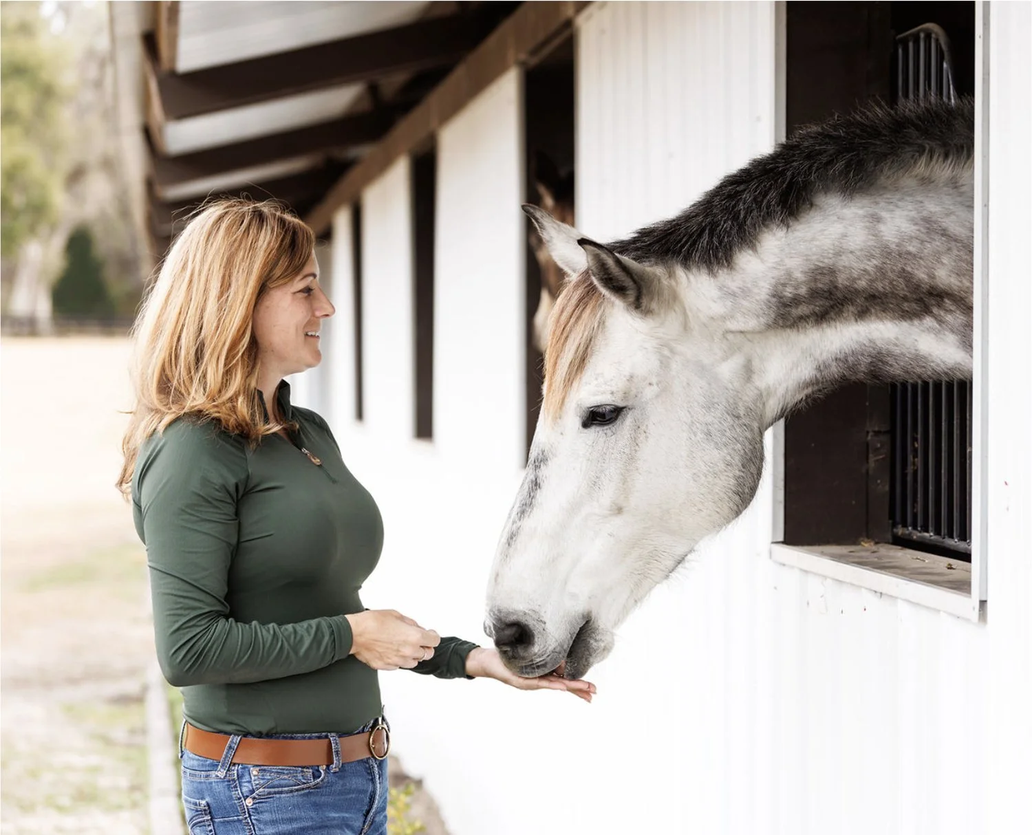 A woman interacting with a white horse at a stable, holding her hand out to the horse as it leans its head out of a stall to sniff her hand.