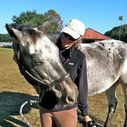 Person in black jacket and white cap petting a gray and white horse outdoors on a sunny day.