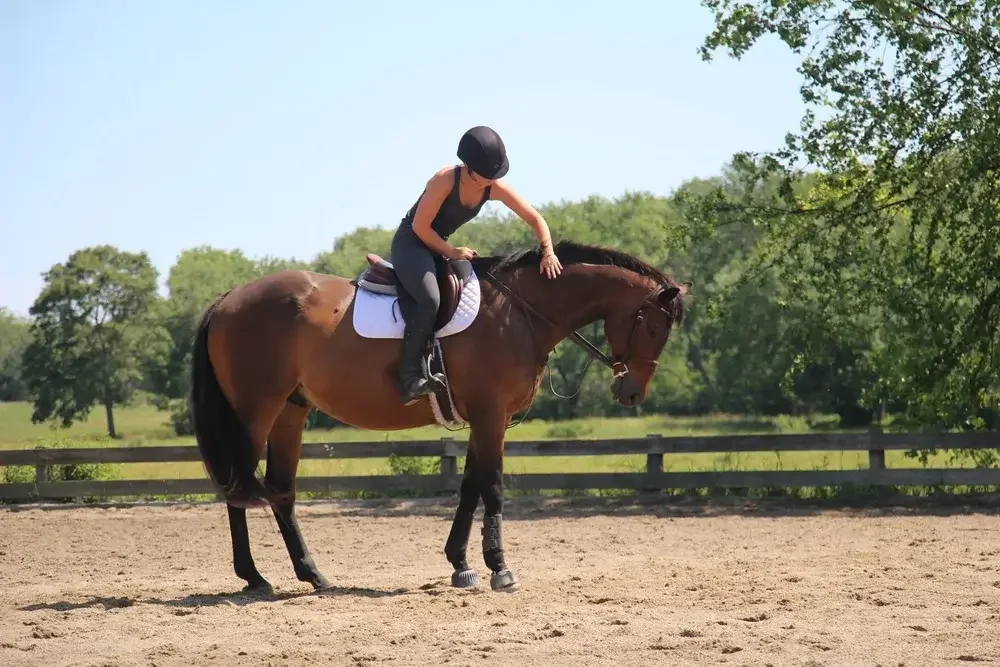 A woman in riding gear is leaning on a brown horse in an outdoor riding arena with trees and a blue sky in the background.