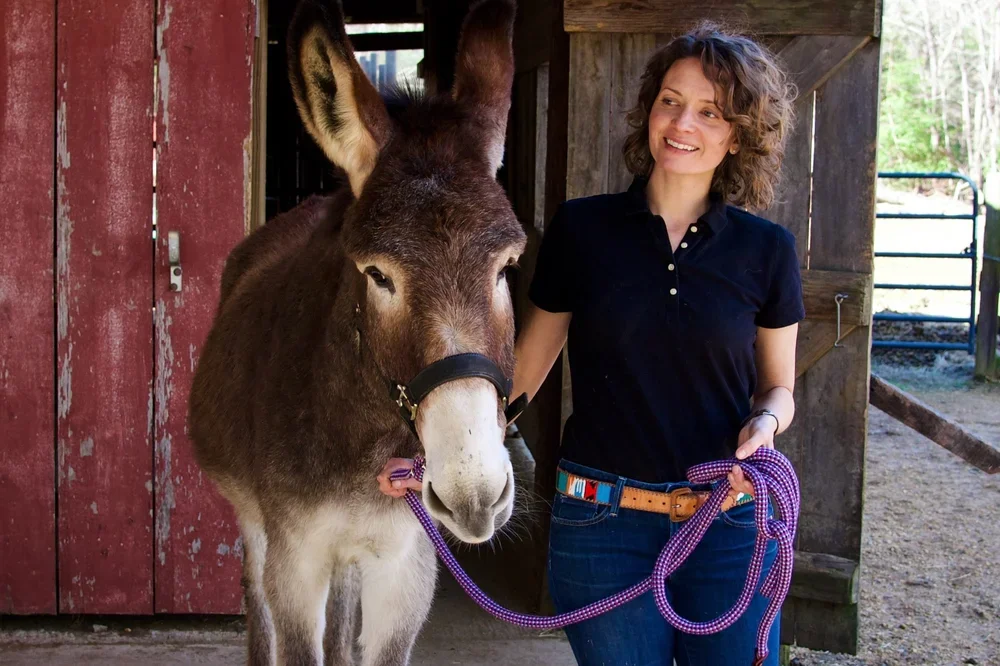 A woman standing outside a barn holding a purple lead rope attached to a donkey, smiling and looking at the donkey in a rural setting.
