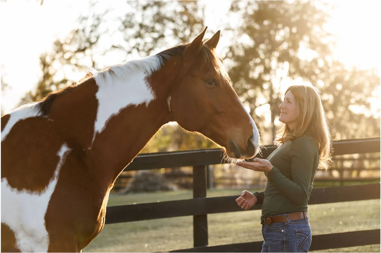 A woman with blonde hair smiles at a large brown and white horse in a fenced pasture during sunset.