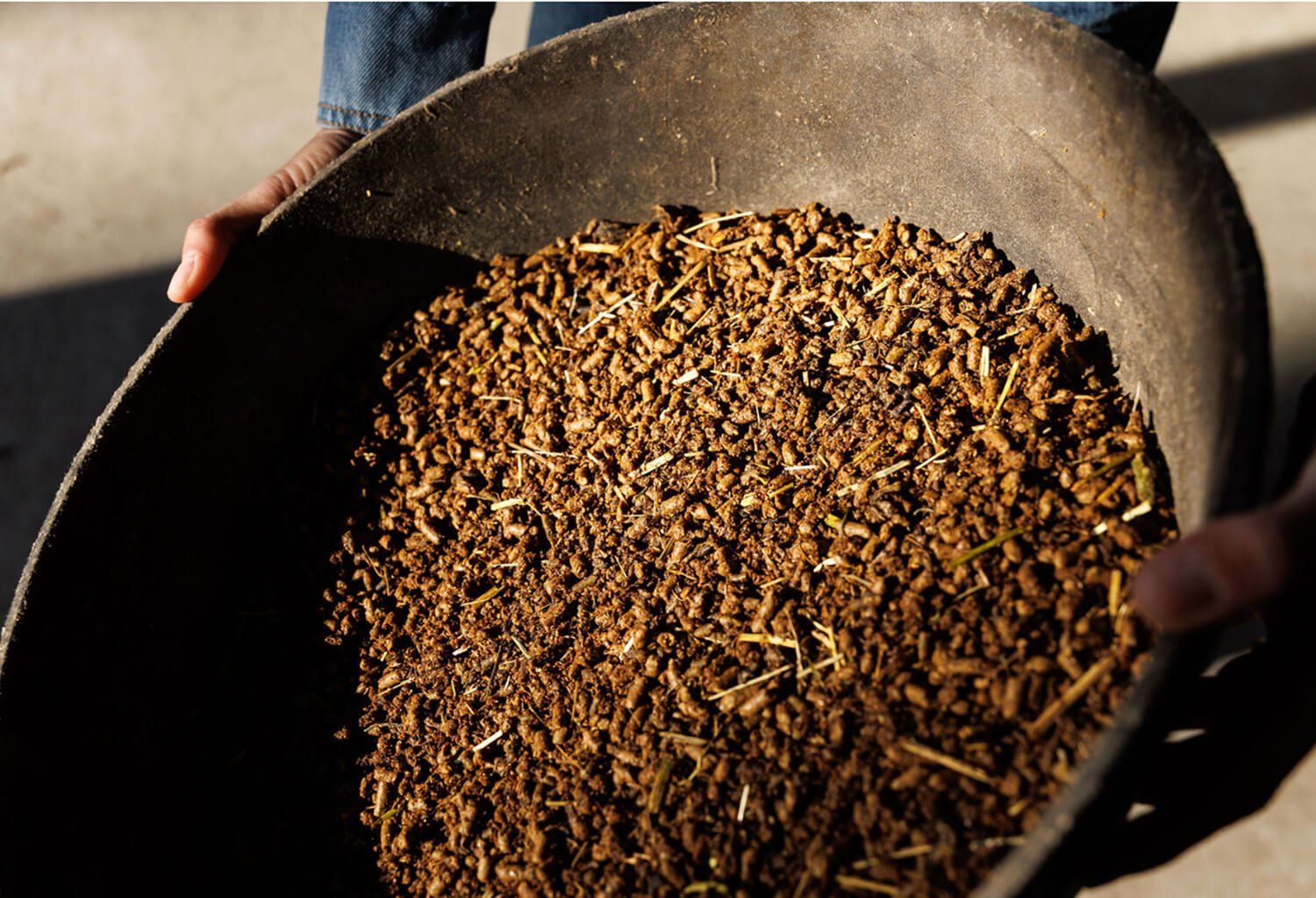 Close-up of natural horse feed in a brown container, held by a person wearing a denim sleeve.