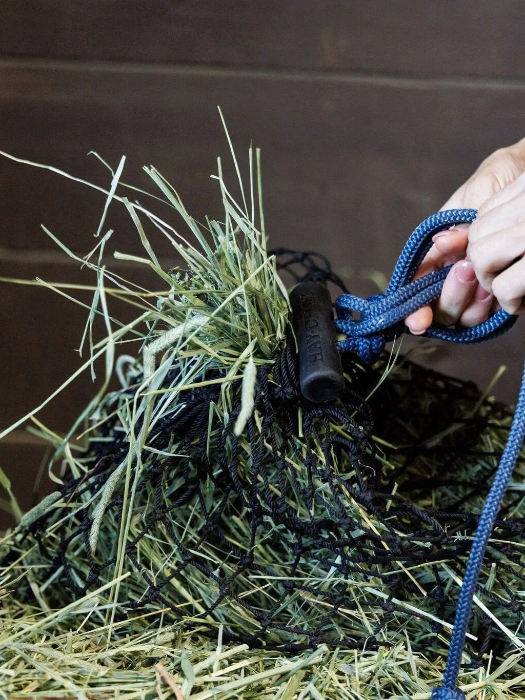 Hand holding a blue leash attached to a dog stake, with a pile of hay and a black dog in a black net.