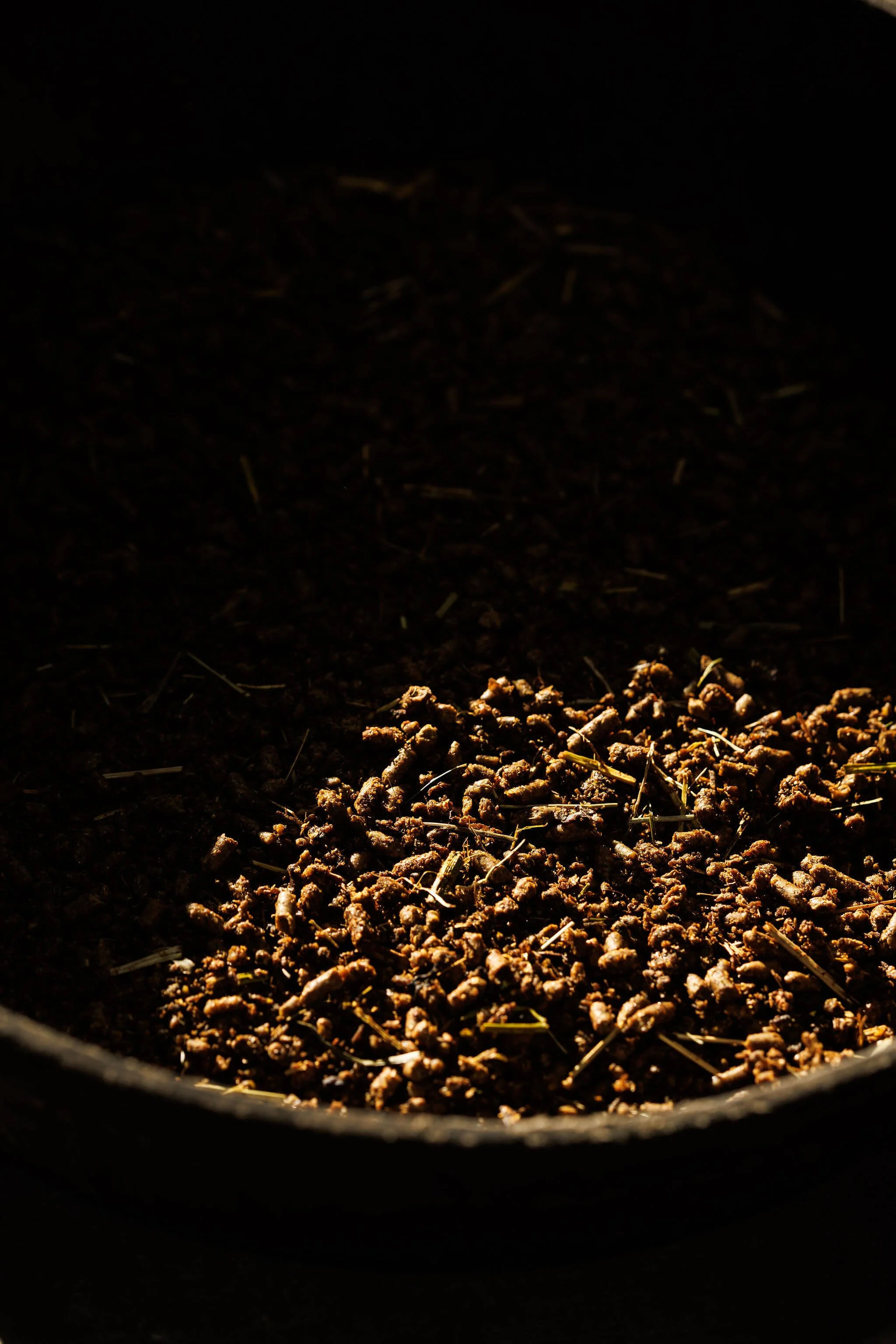 Close-up view of natural horse feed with small organic particles and some straw, illuminated by a focused light source.