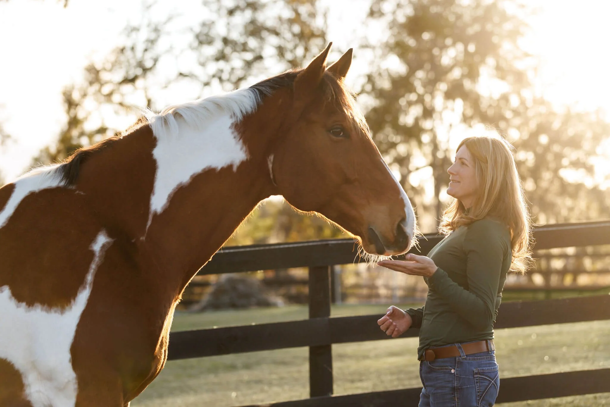A woman and a brown and white horse face to face outside in the sunlight, with trees in the background.