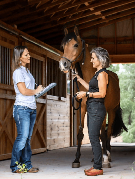An equine nutrition advisor and a client in a horse stable with a brown horse between them, one woman holding the horse's reins and the other taking notes.
