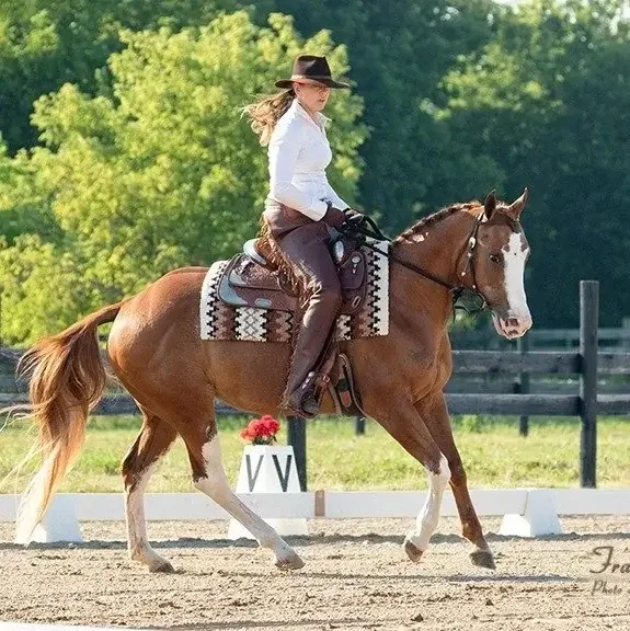 A woman riding a chestnut horse with a white blaze, in an outdoor fenced arena, with green trees in the background.