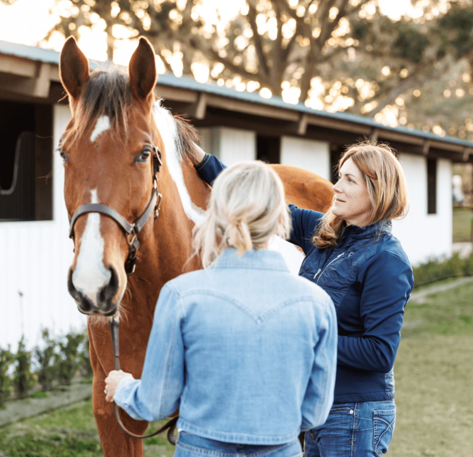 Two women are interacting with a brown and white horse outside near a stable with trees in the background during sunset.
