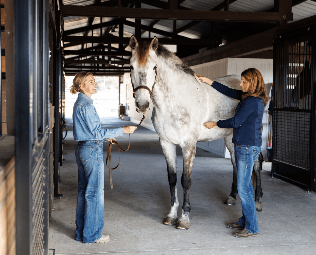 Two women in a barn with a white horse. One woman is holding the horse's lead, and the other woman is grooming the horse.