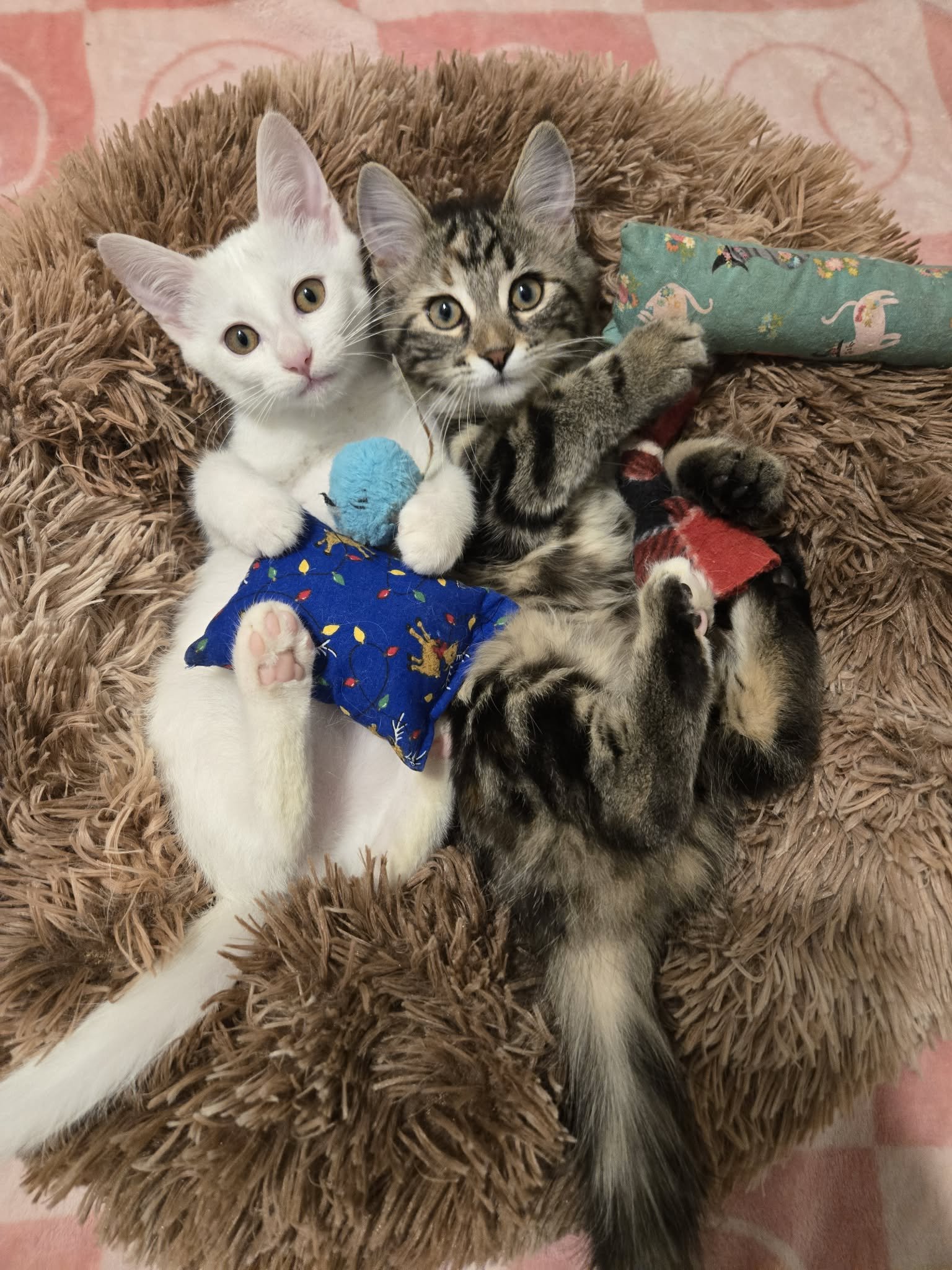 Peppermint Patty &amp; Rosie