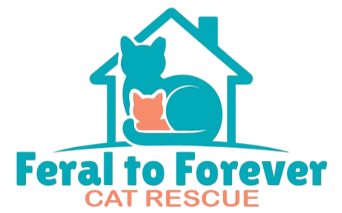 Feral to Forever