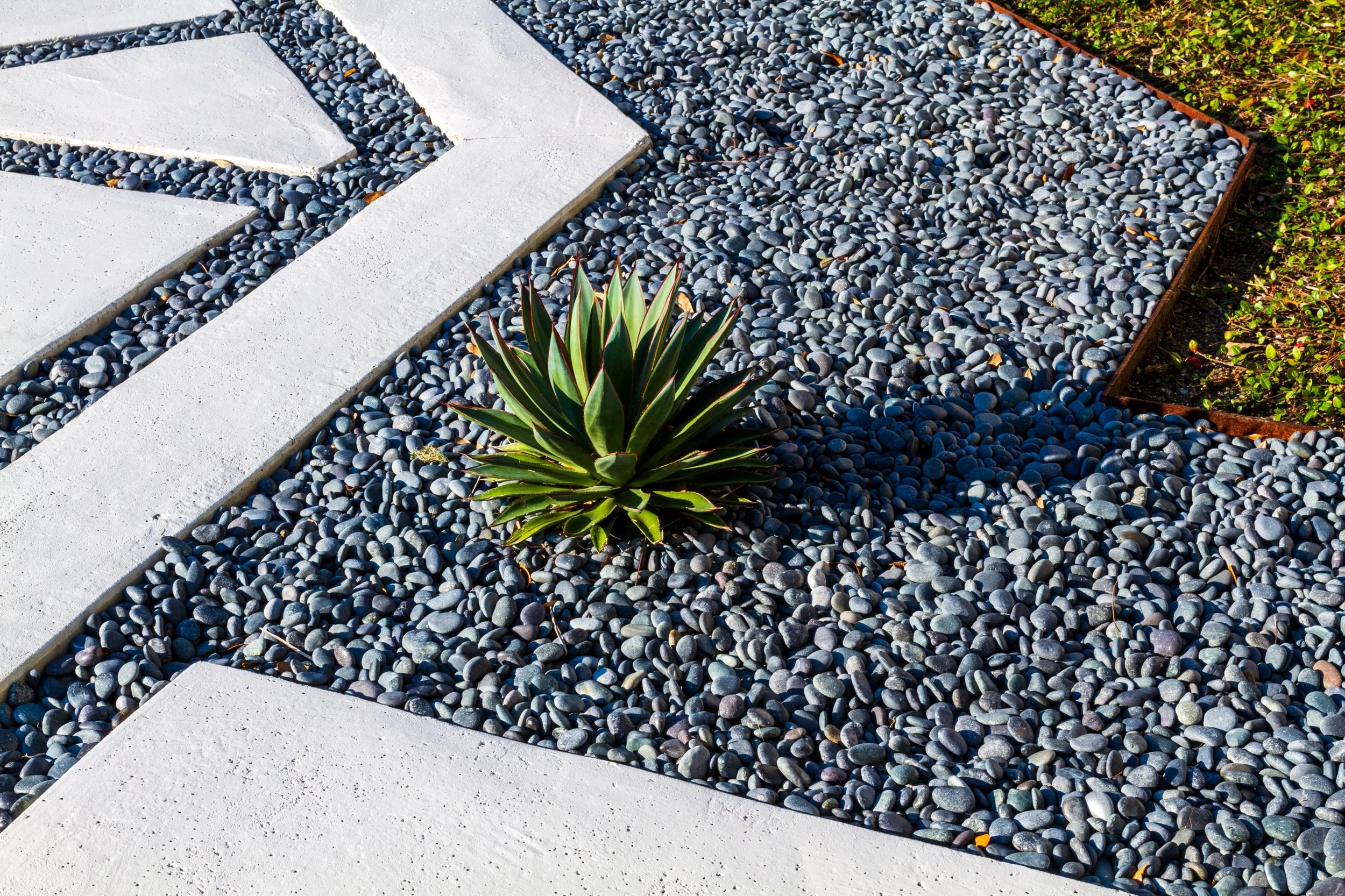 Planters Row 10.jpg
