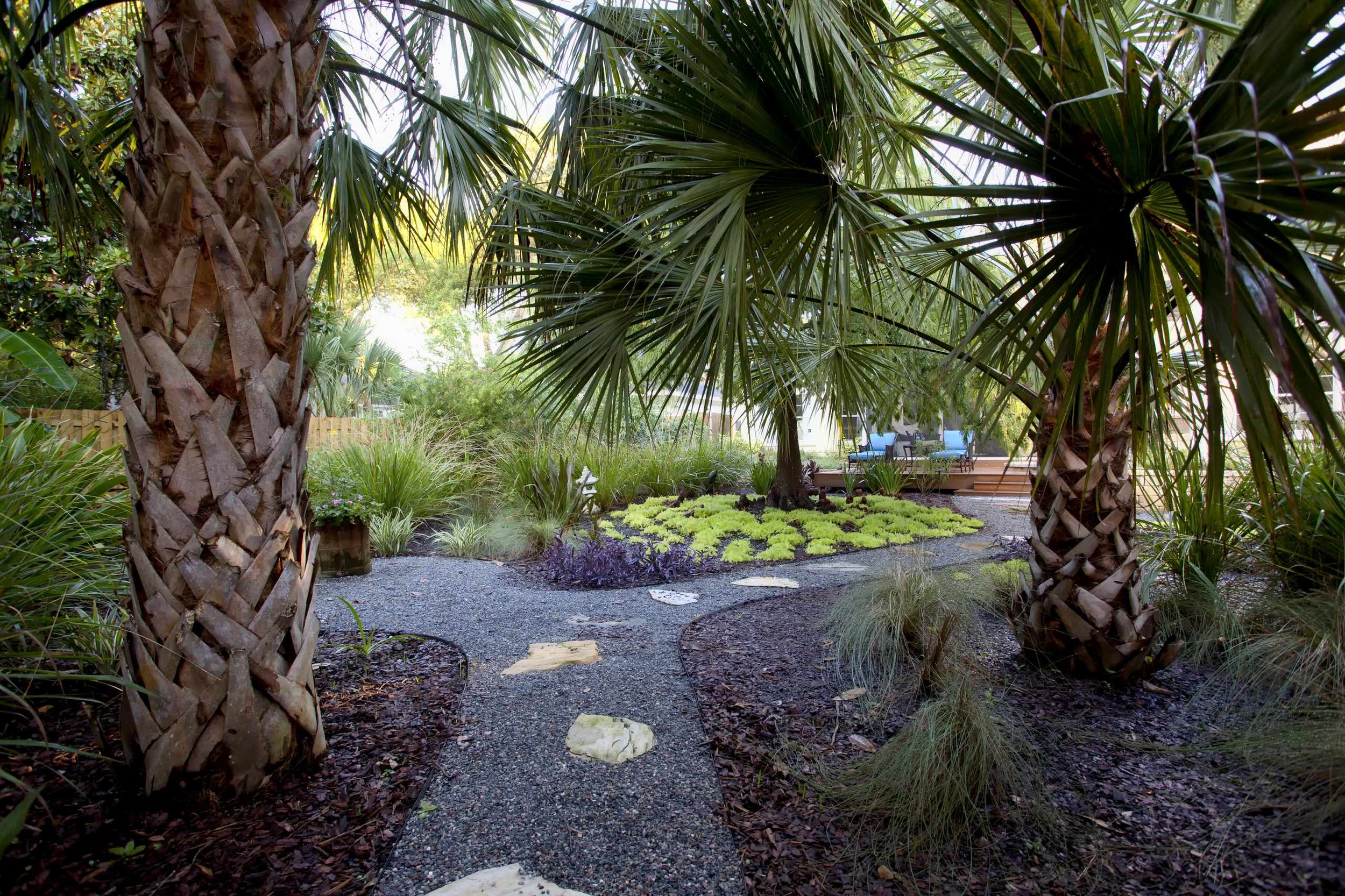 PVB Tropical 1.jpg