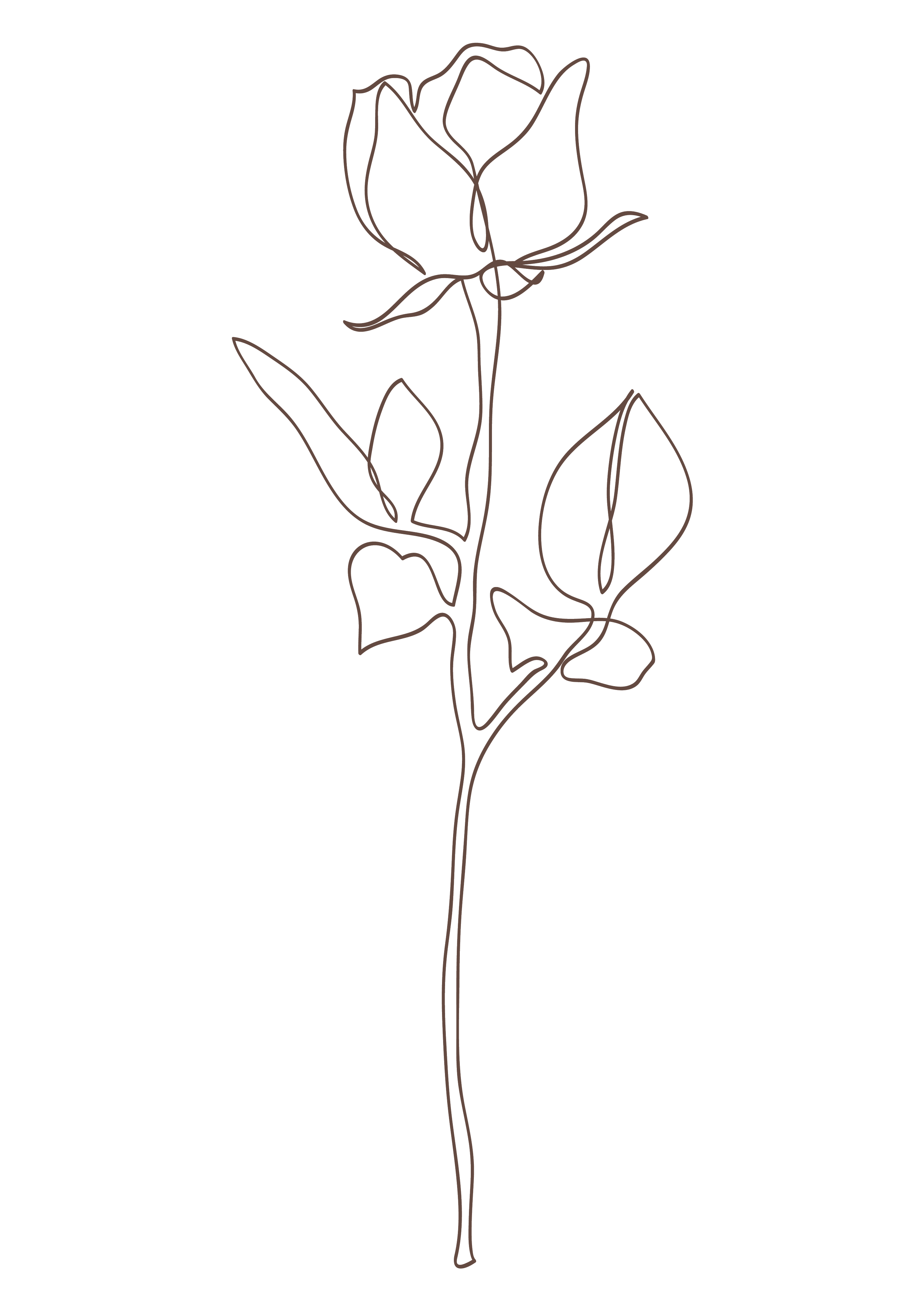 Outline drawing of a single rose with stem, leaves, and petals on a black background.