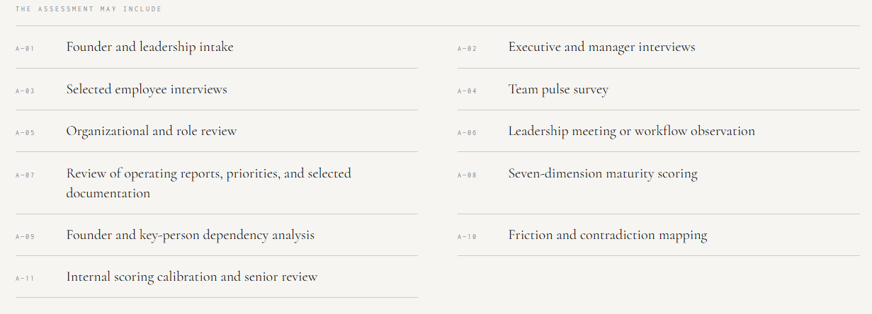 The Operating Standard Assessment process, including leadership intake, employee and executive interviews, organizational review, dependency analysis, surveys, maturity scoring, calibration, and operating-pattern mapping.