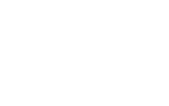 Black background with white text reading 'The New School PARSONS'.