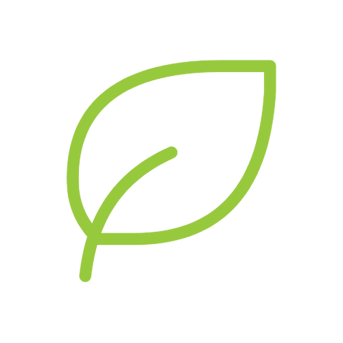 Green leaf icon representing EcoBoats' zero local emissions