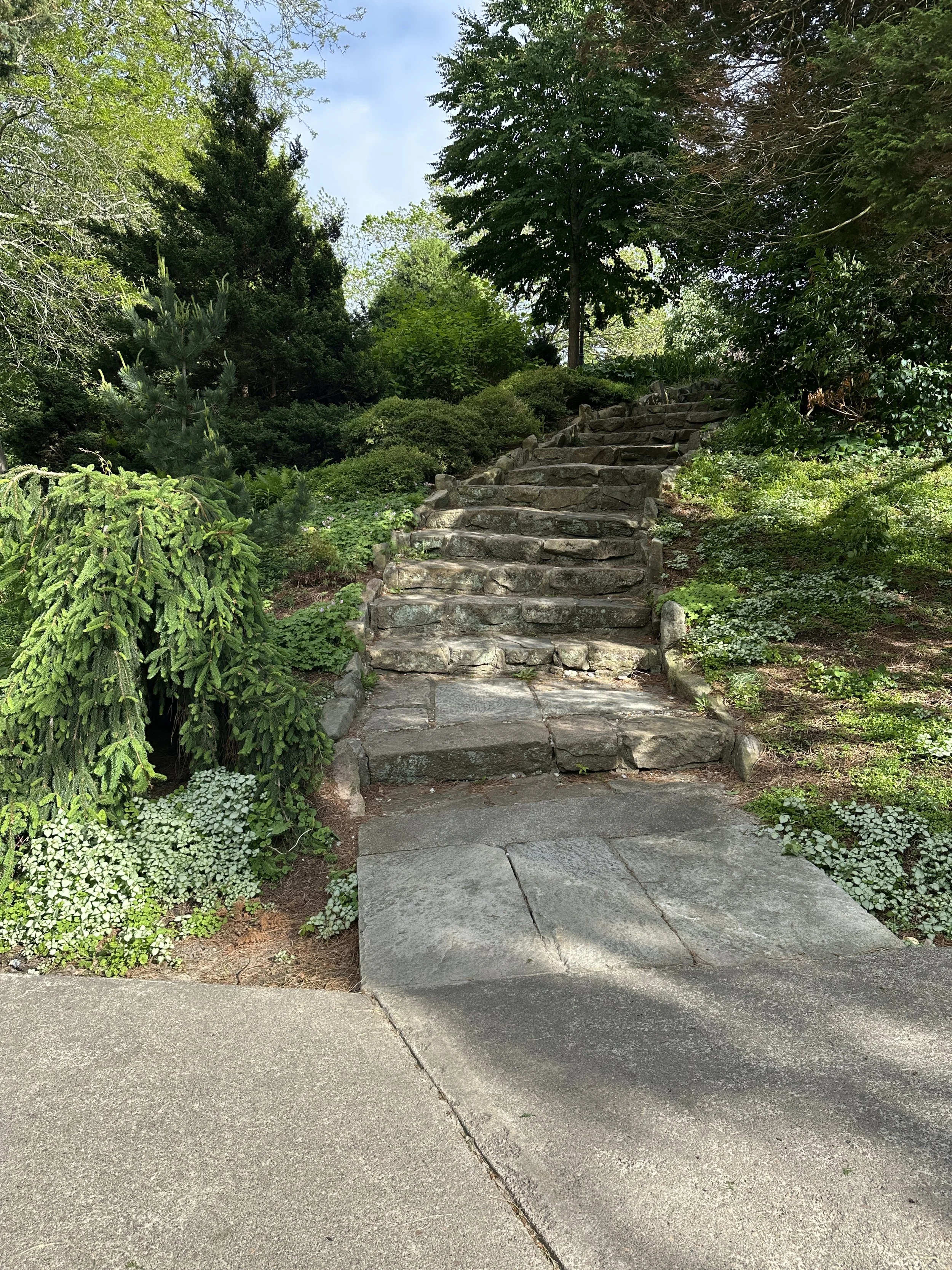 My Photo-Wilcox Steps.JPG