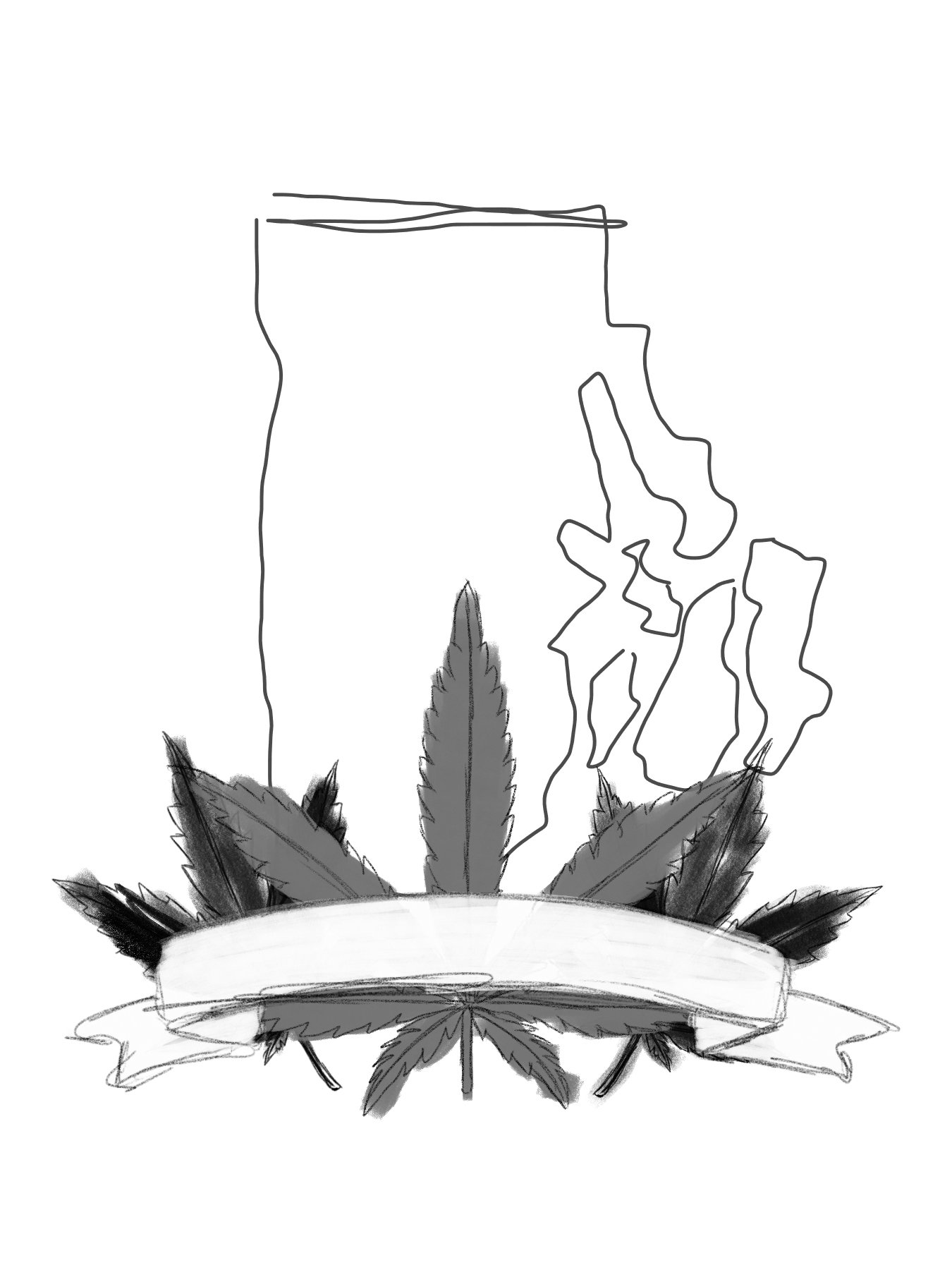 Zip bag copy.jpg