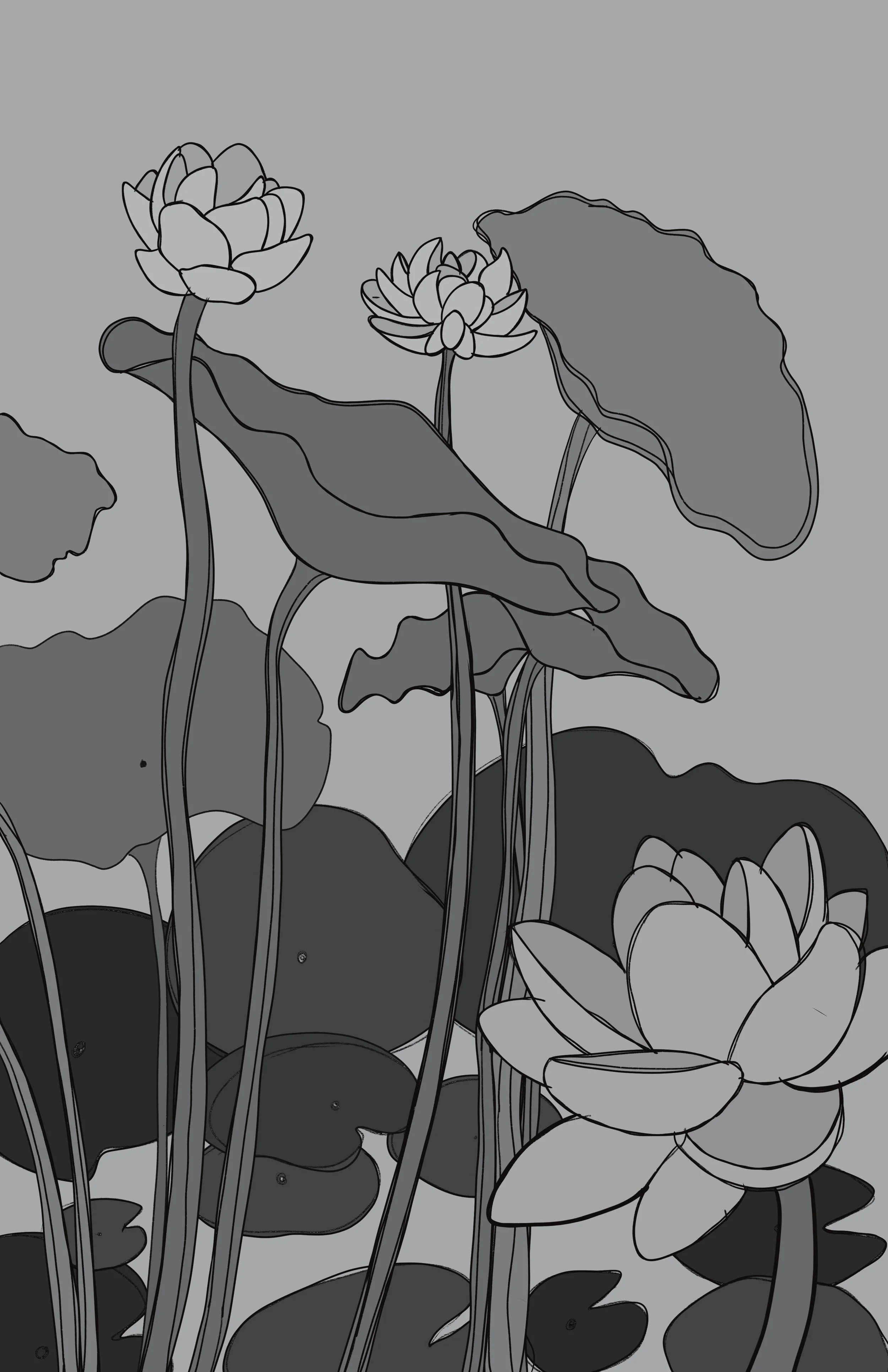 lotus pond.jpg