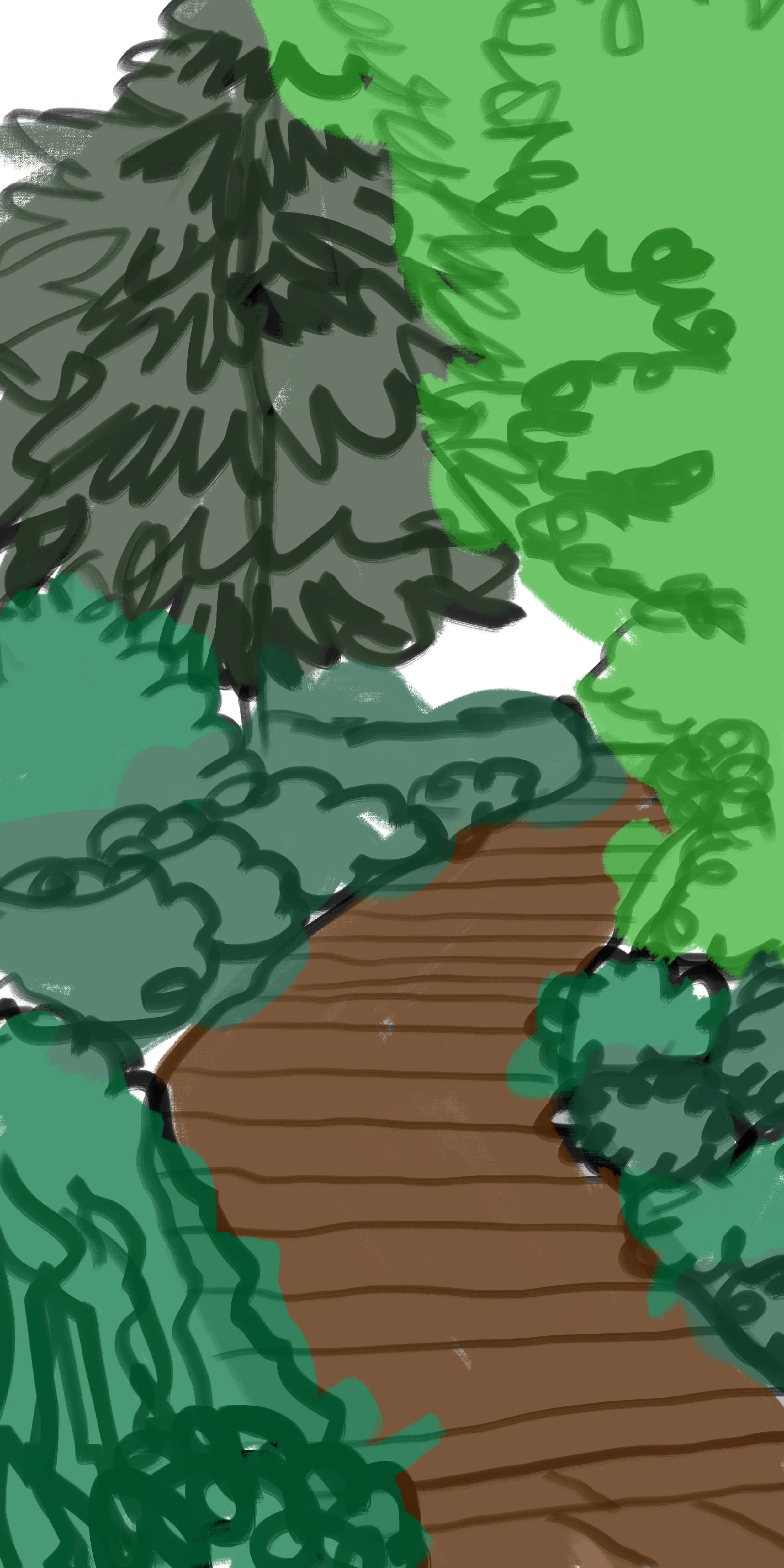 wilcox color 2.jpg