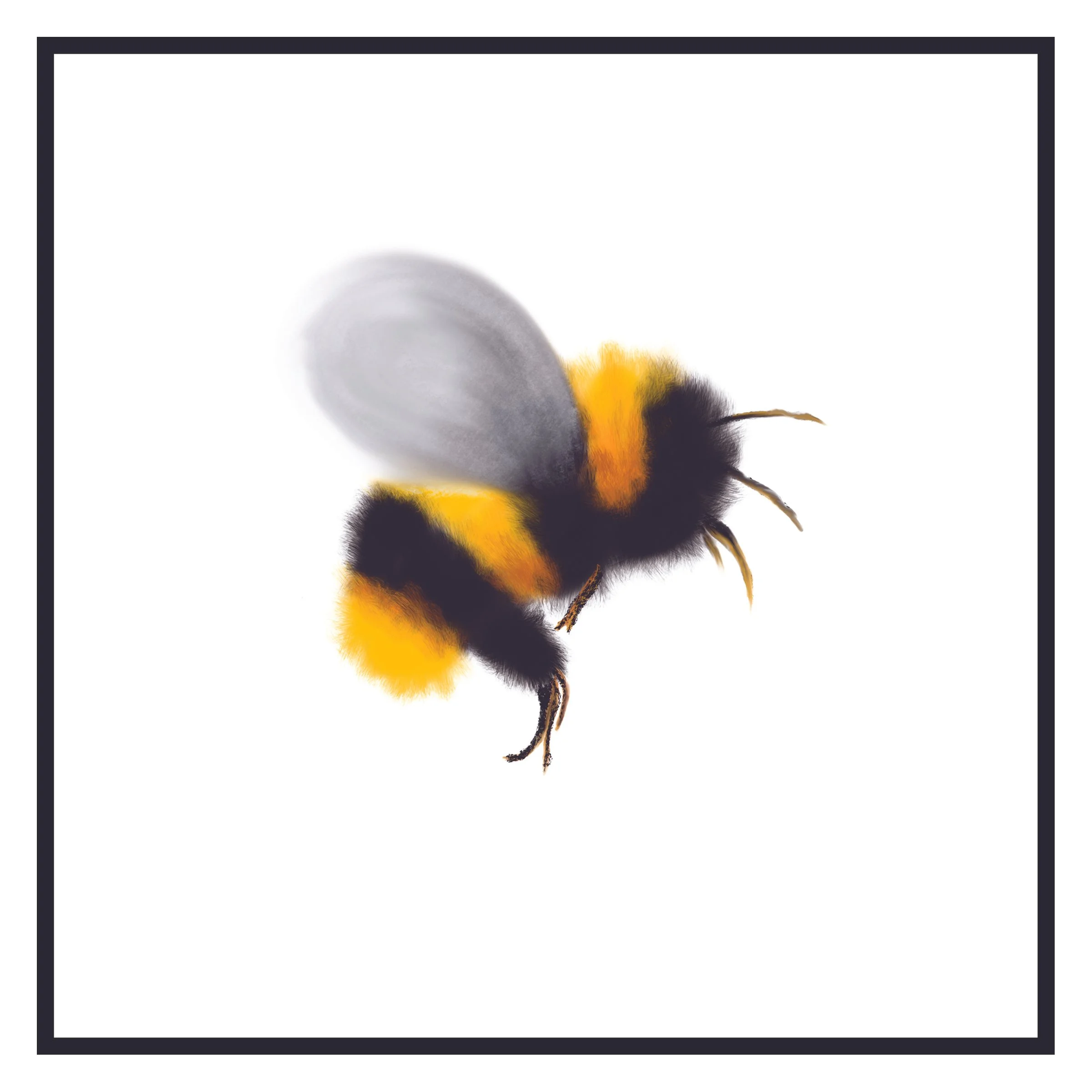 8x8 bee print.jpg