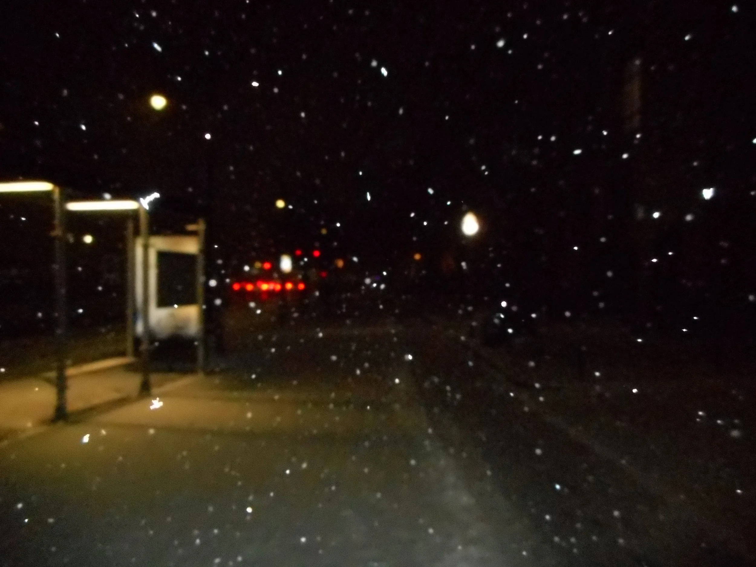 DSCN0368.JPG