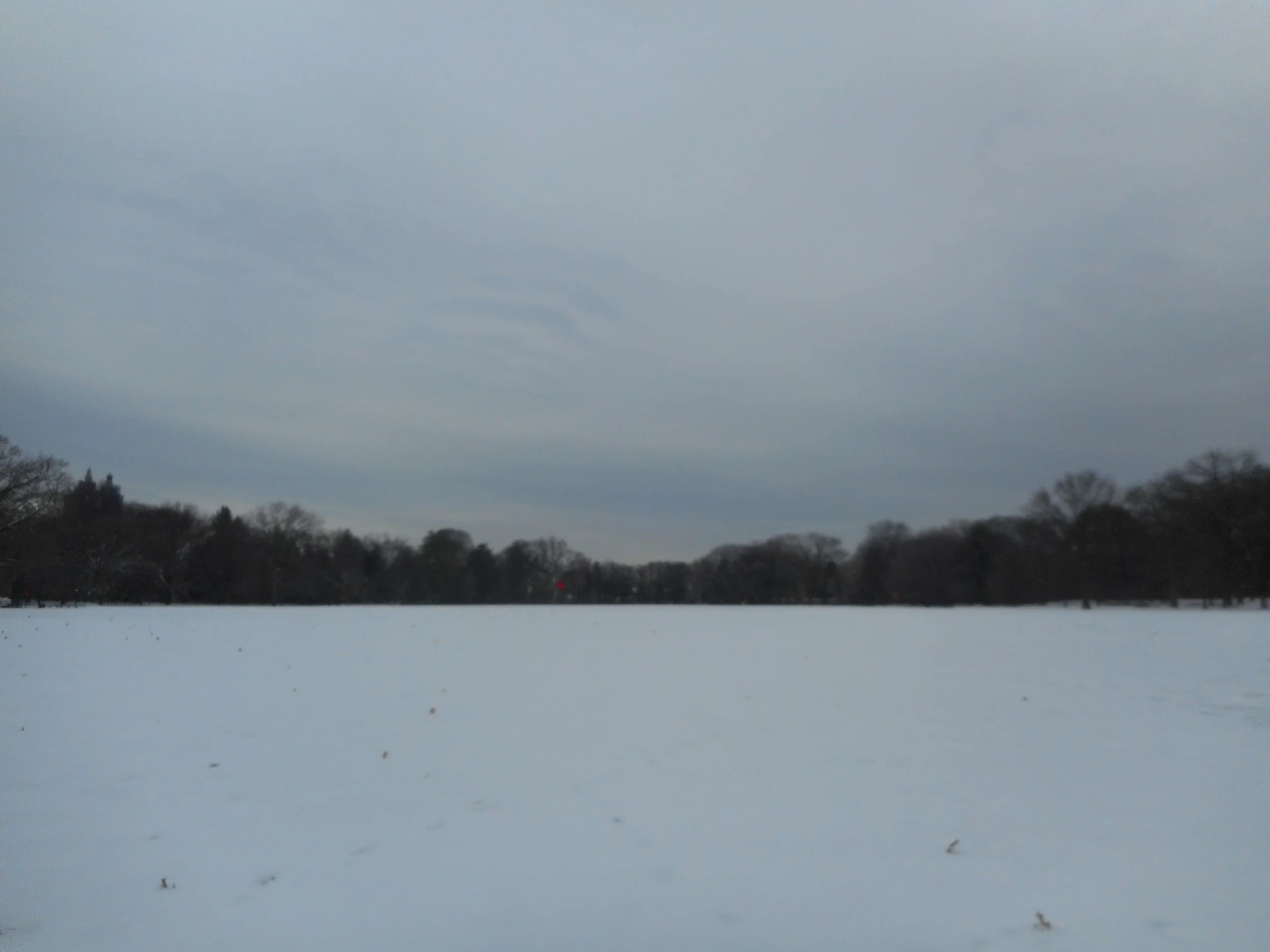 DSCN0220.JPG
