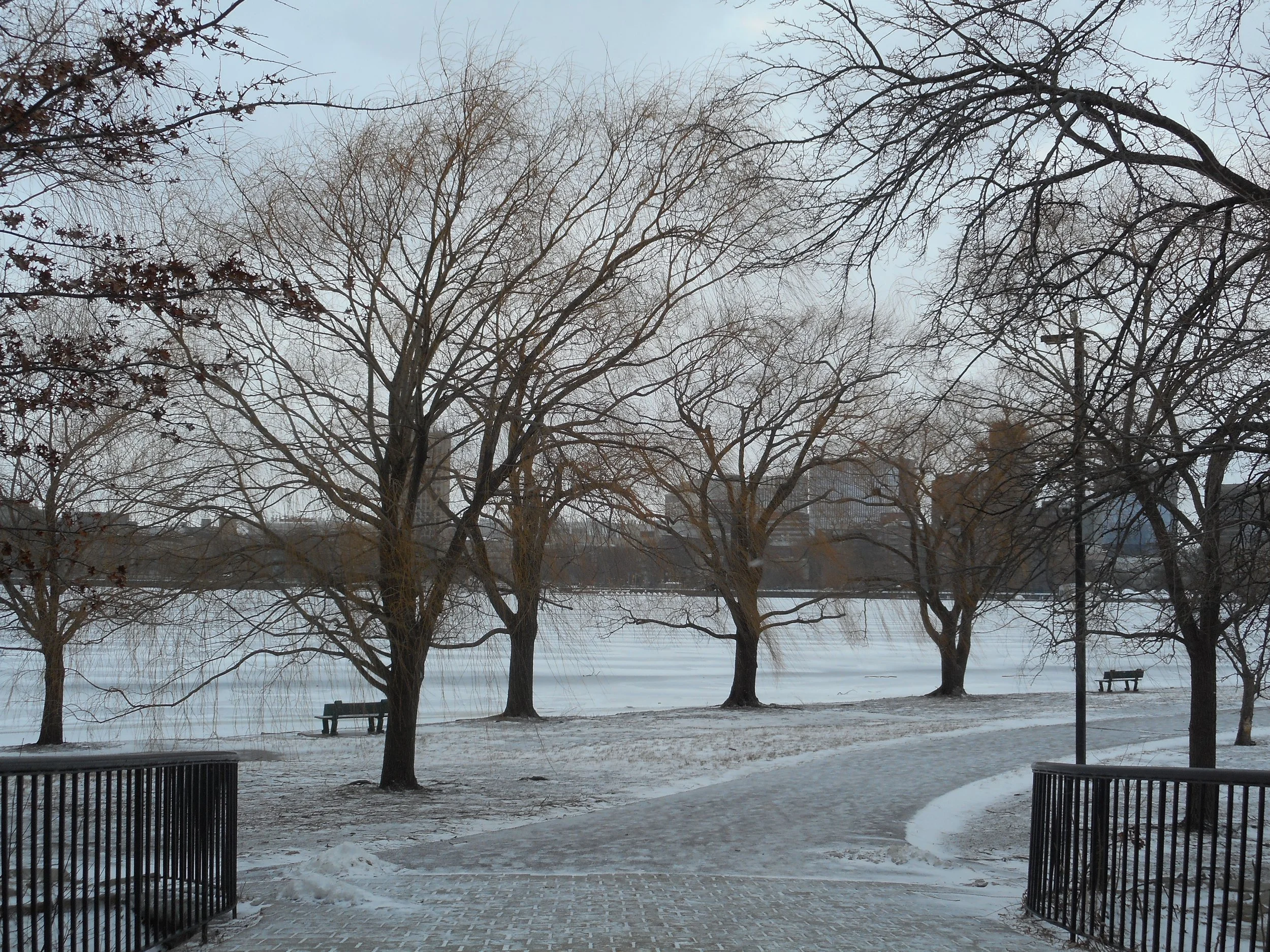DSCN0301.JPG