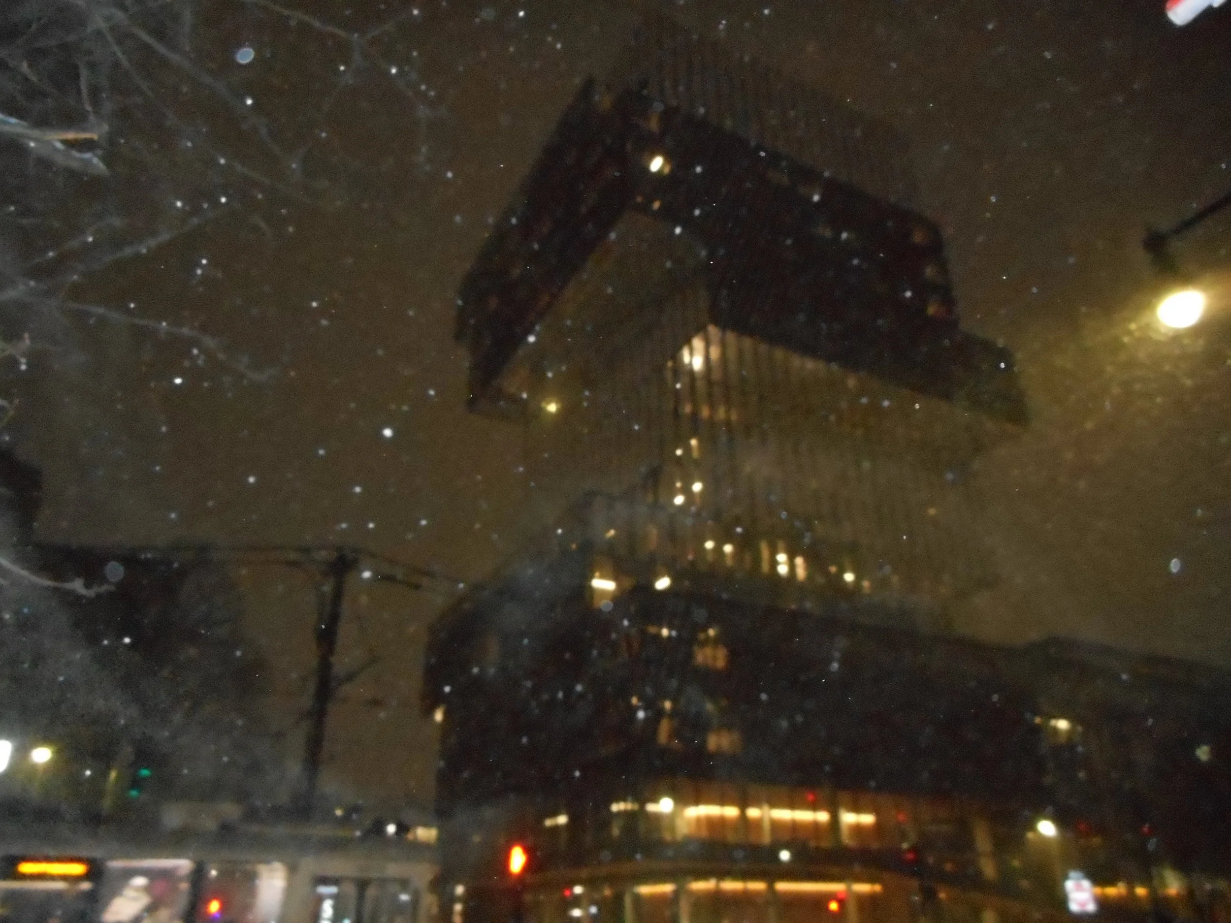 DSCN0367.JPG