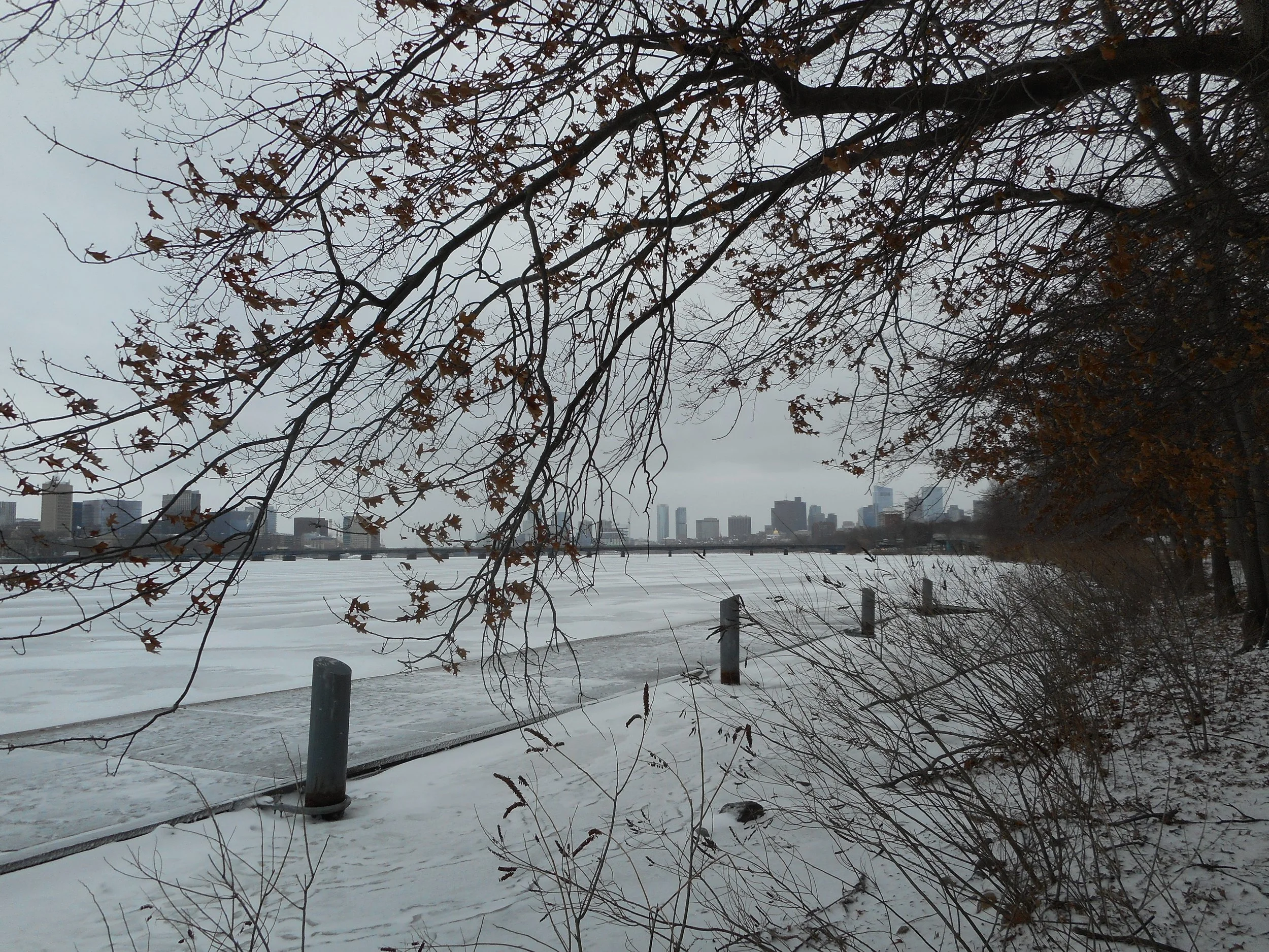 DSCN0273.JPG
