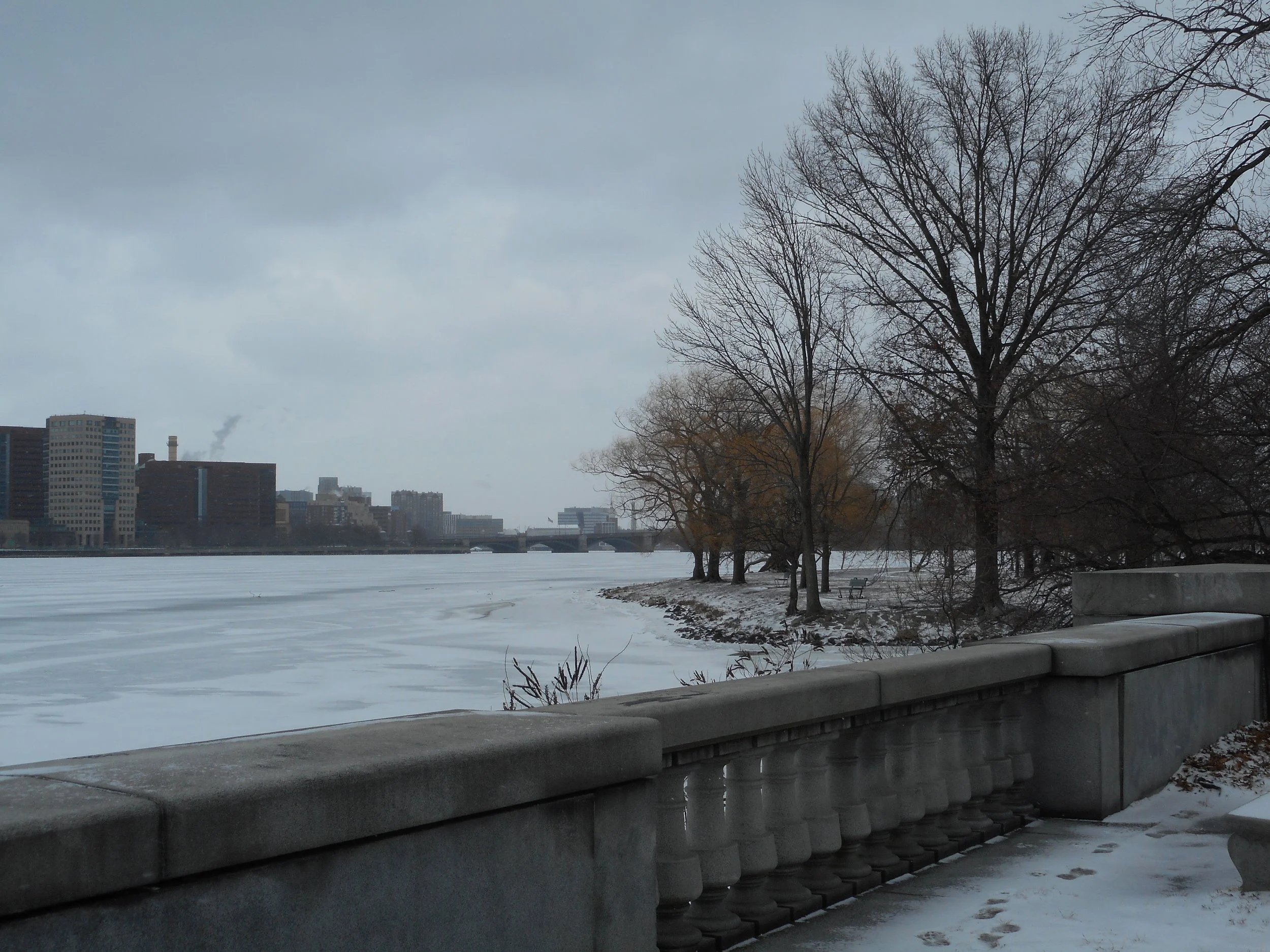 DSCN0284.JPG