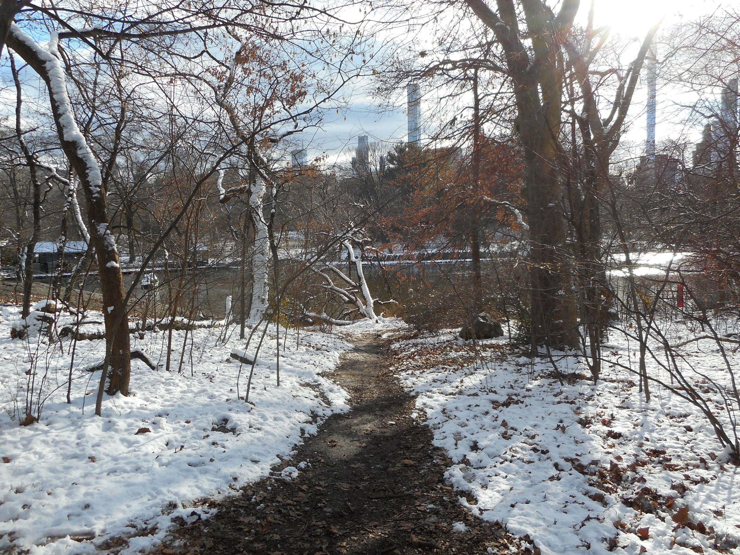 DSCN0177.JPG