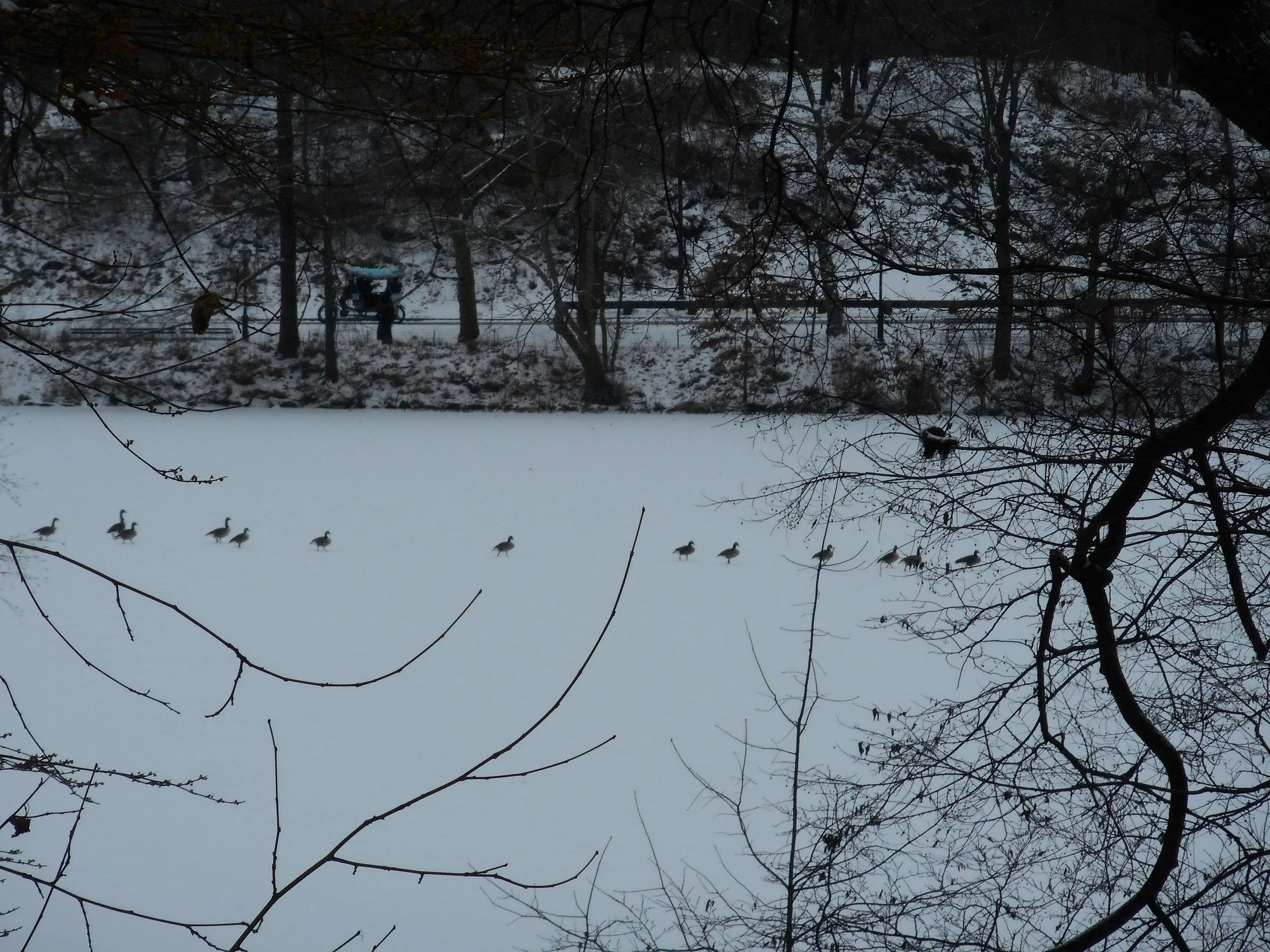DSCN0238.JPG