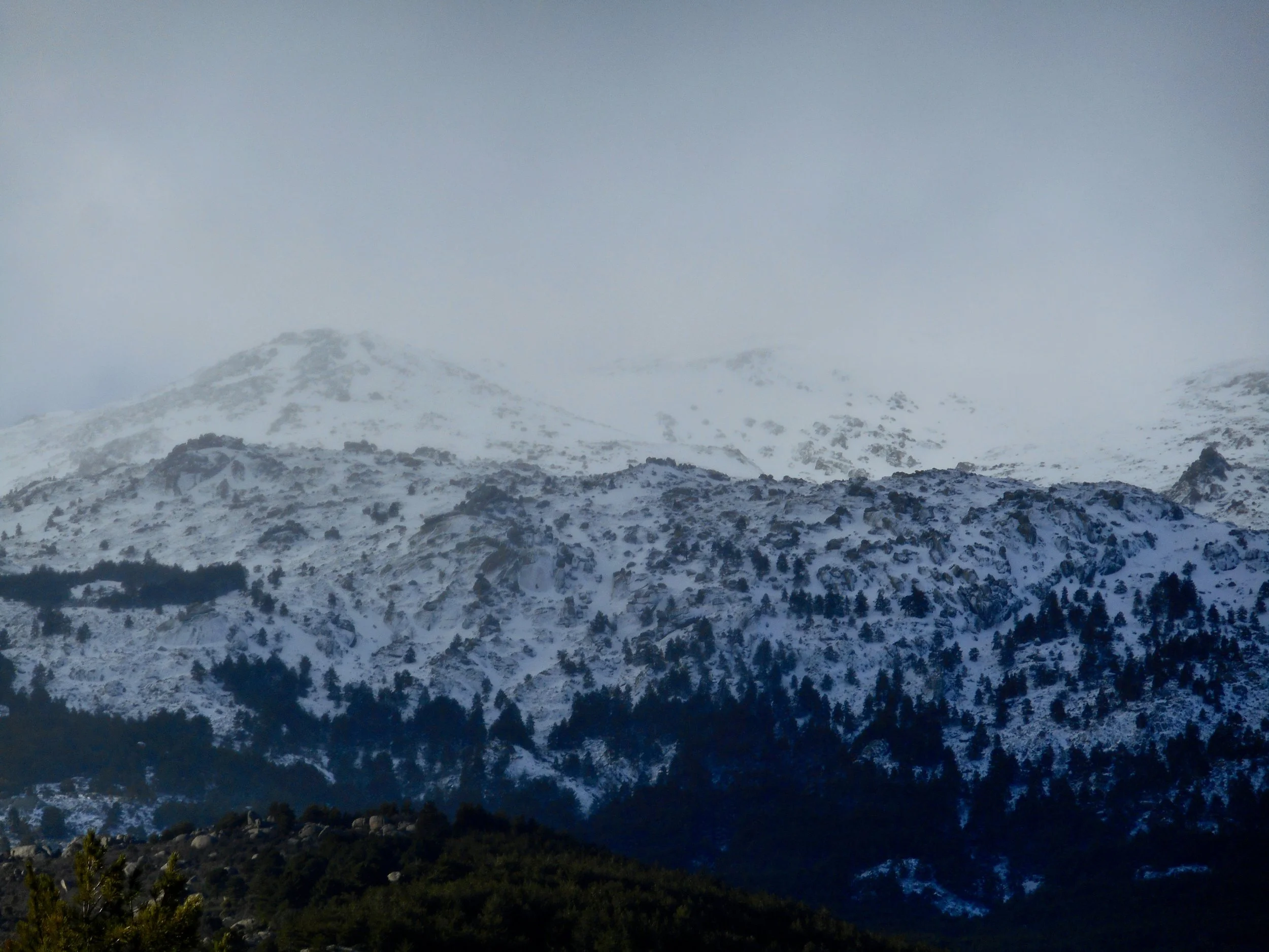 DSCN1489.JPG