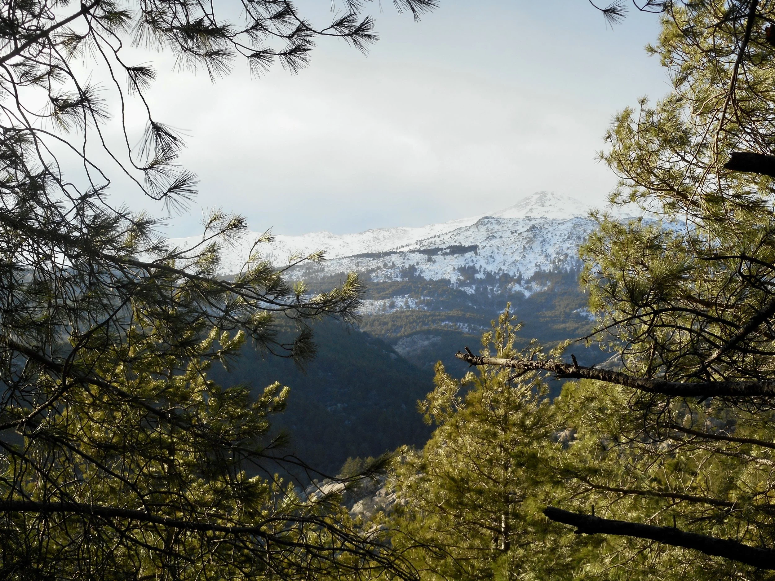 DSCN1508.JPG