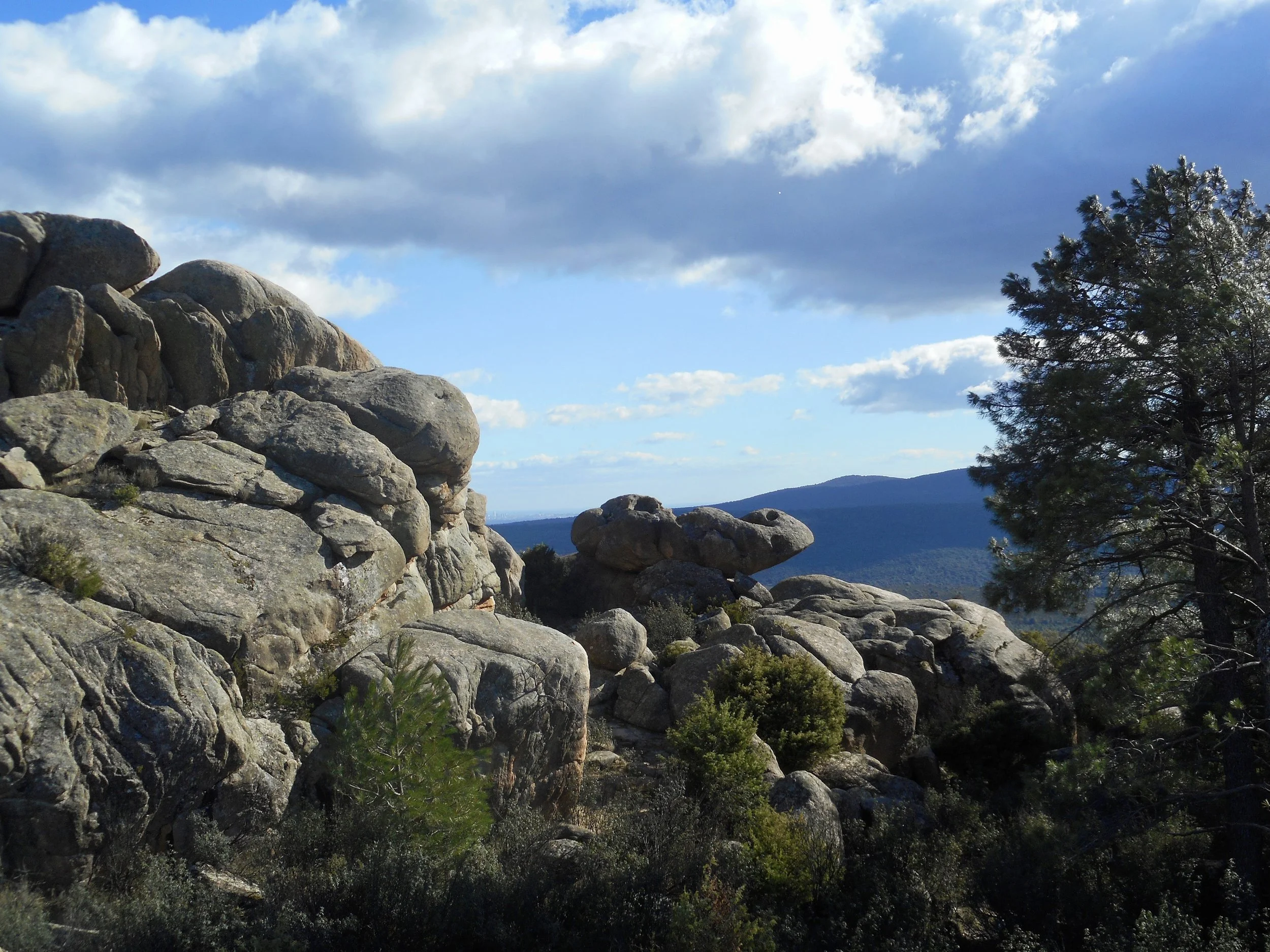 DSCN1455.JPG