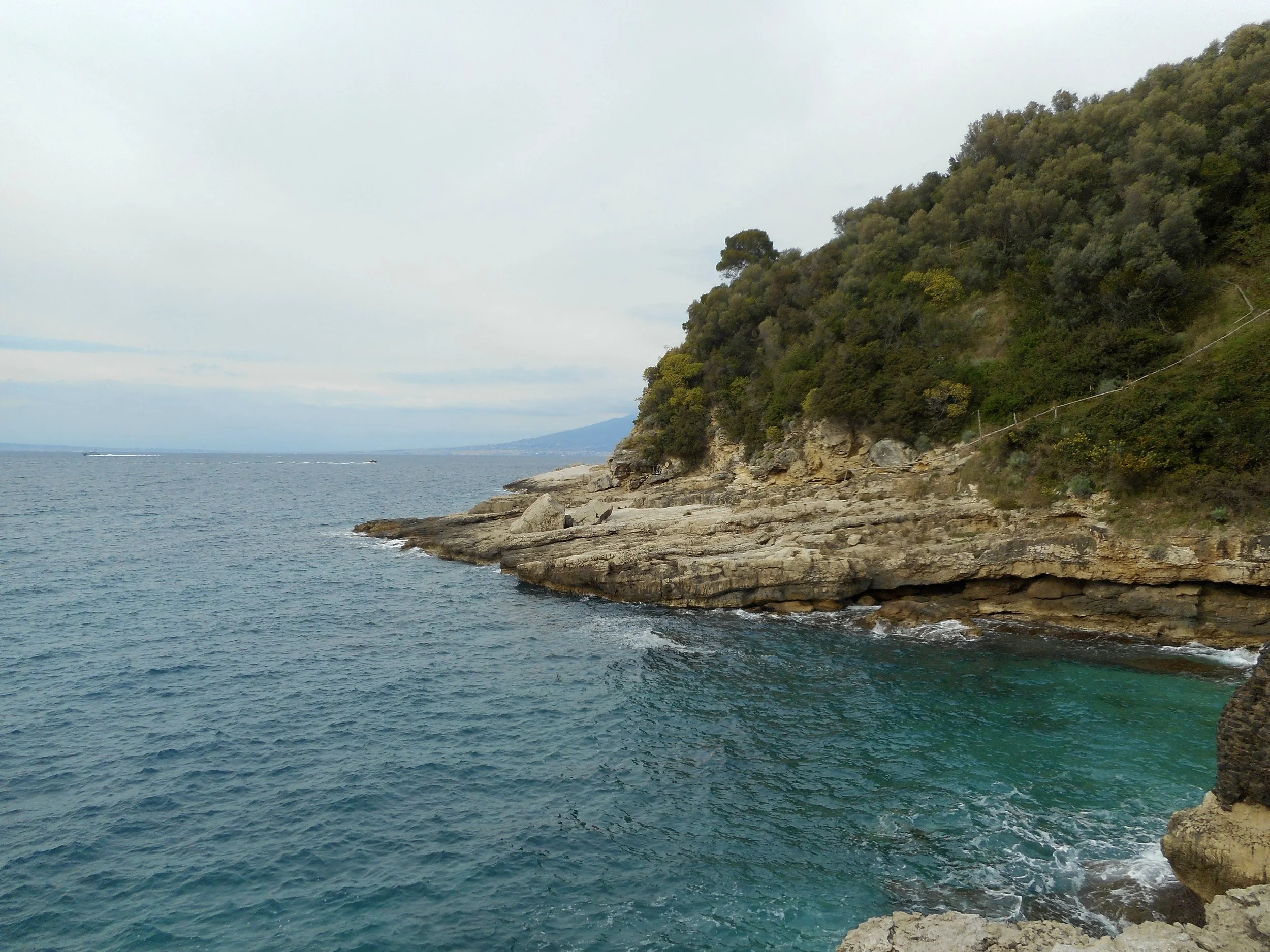 DSCN2571.JPG