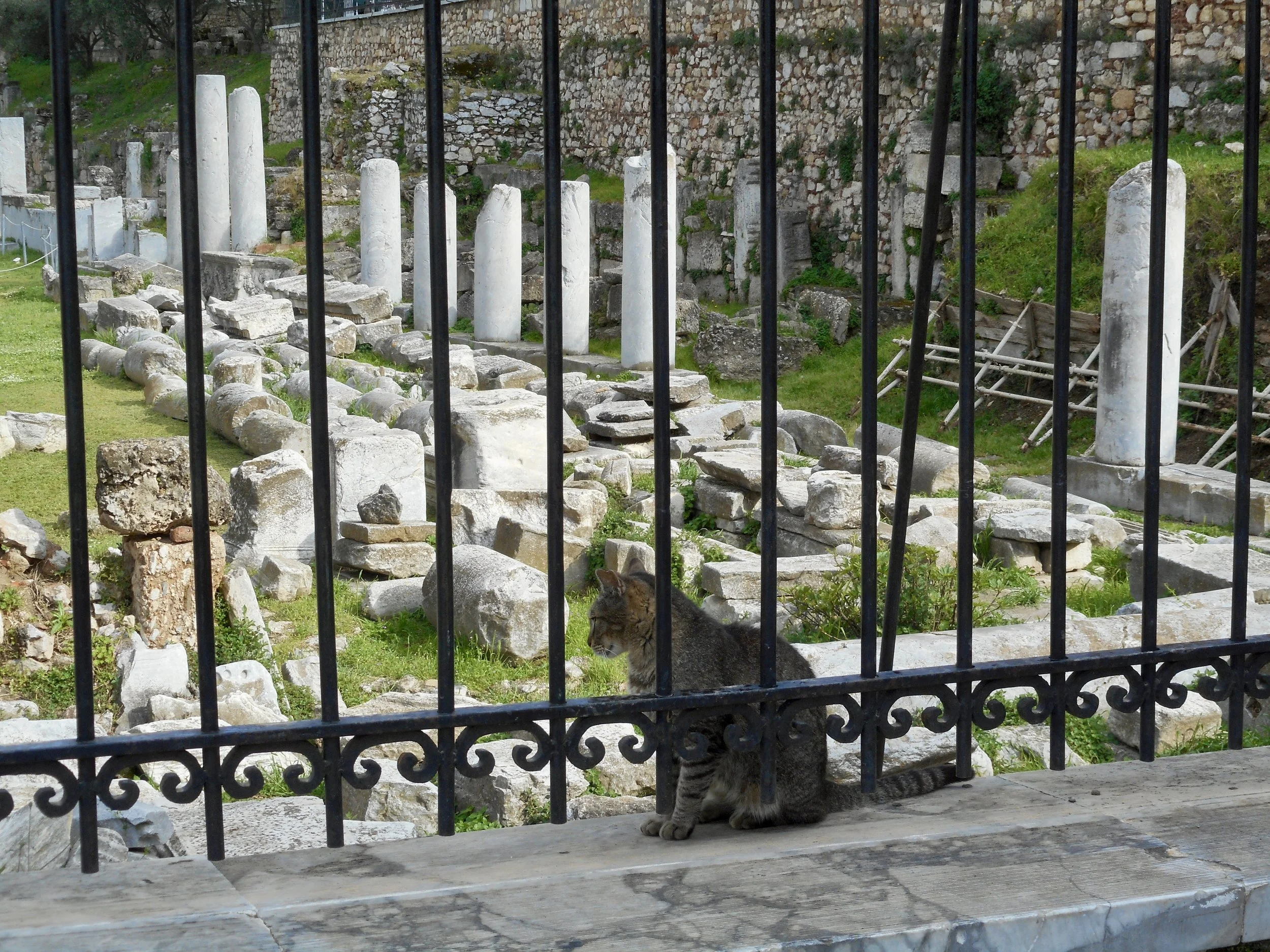 DSCN2957.JPG