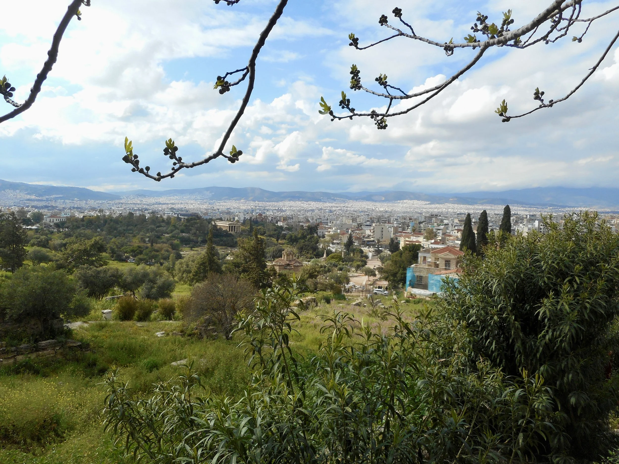 DSCN2958.JPG