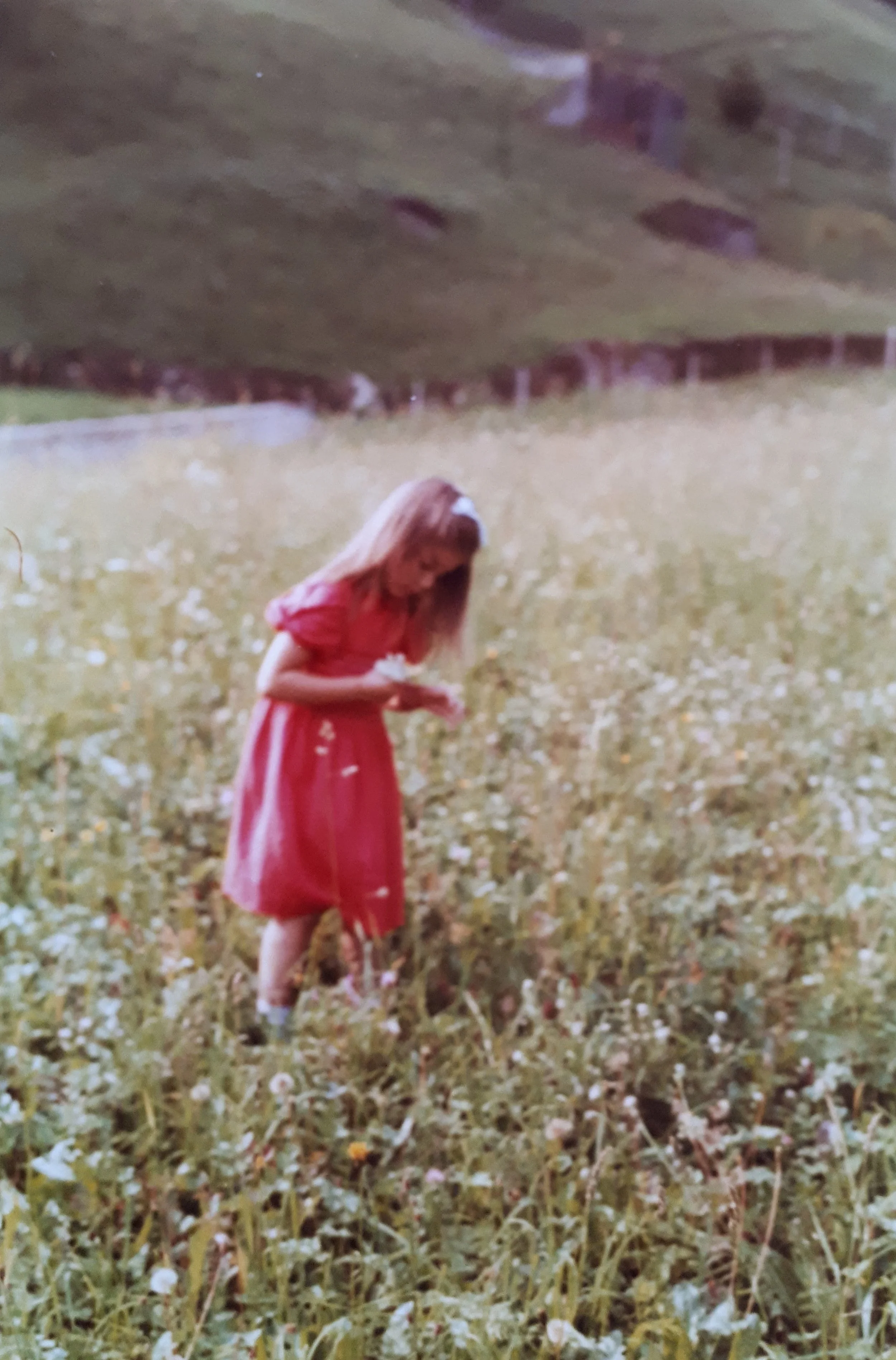 Nadia Pretto artista infanzia nelle piccole dolomiti amore per la natura