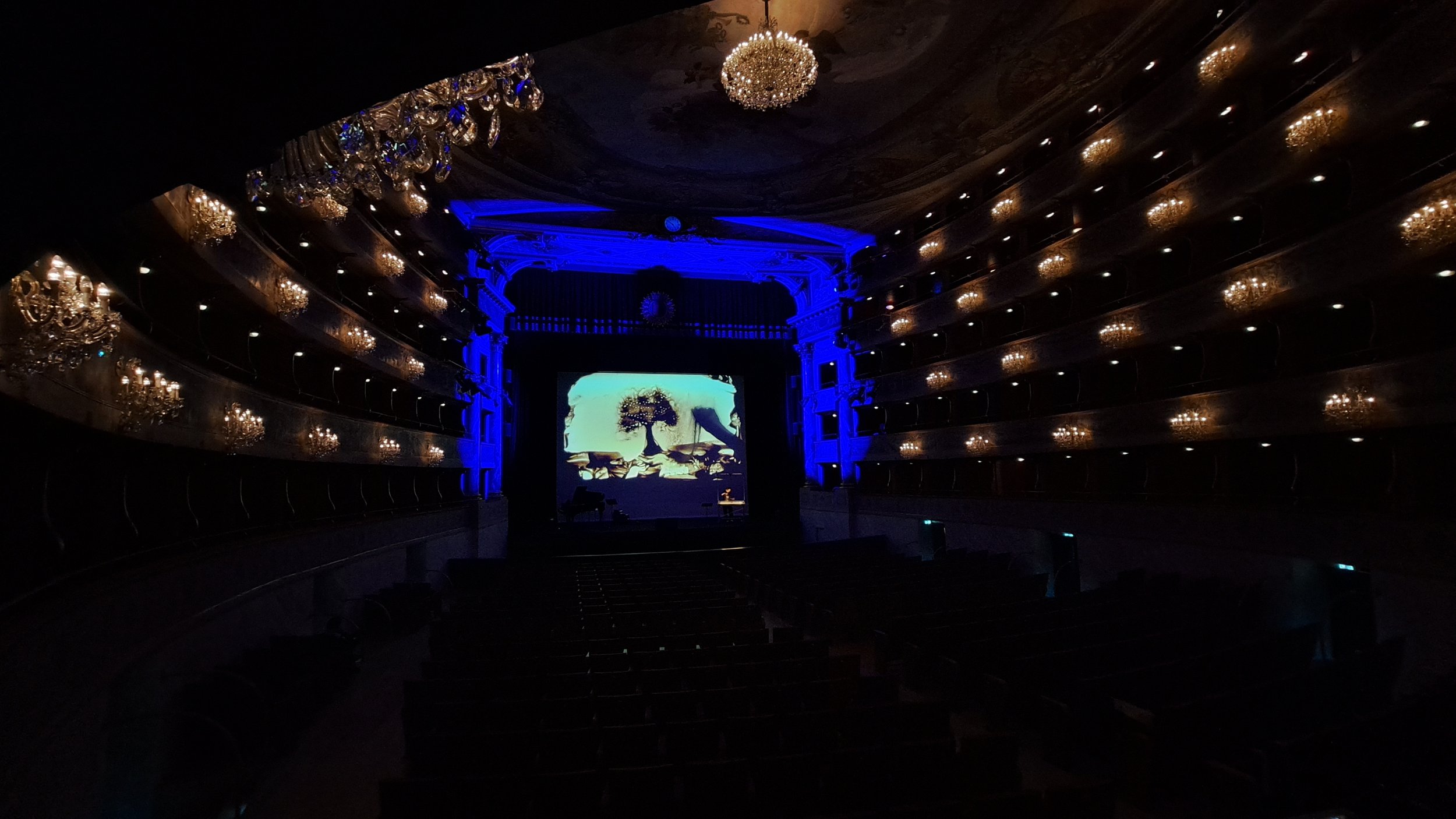 Spettacolo di sand art di Nadia Pretto al Teatro Donizetti di Bergamo, disegno di sabbia proiettato sul palcoscenico. Evento centenario Cassa Lombarda. Spettacolo realizzato ad hoc.