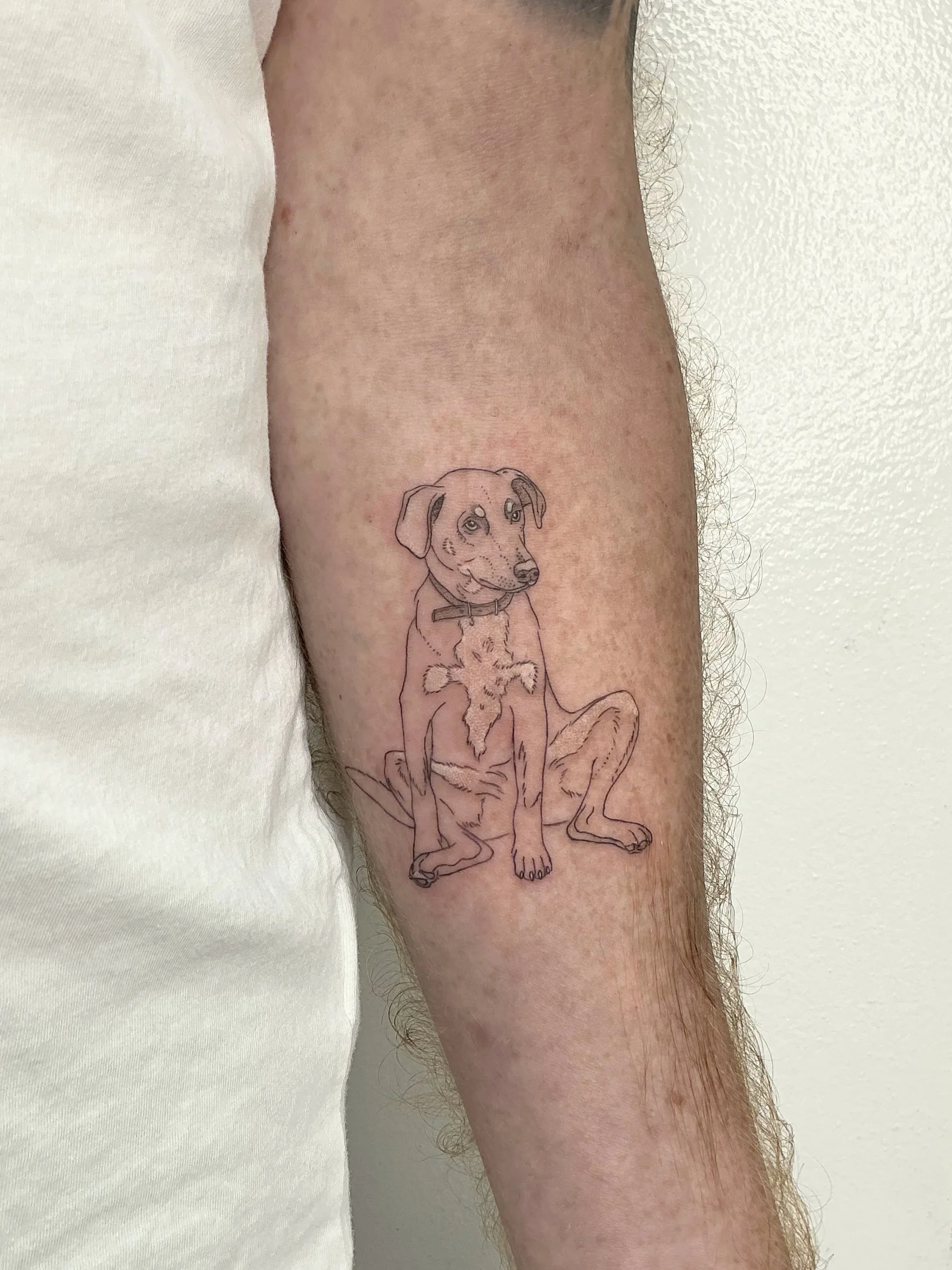 Tattoo of a sitting dog on a person's forearm.