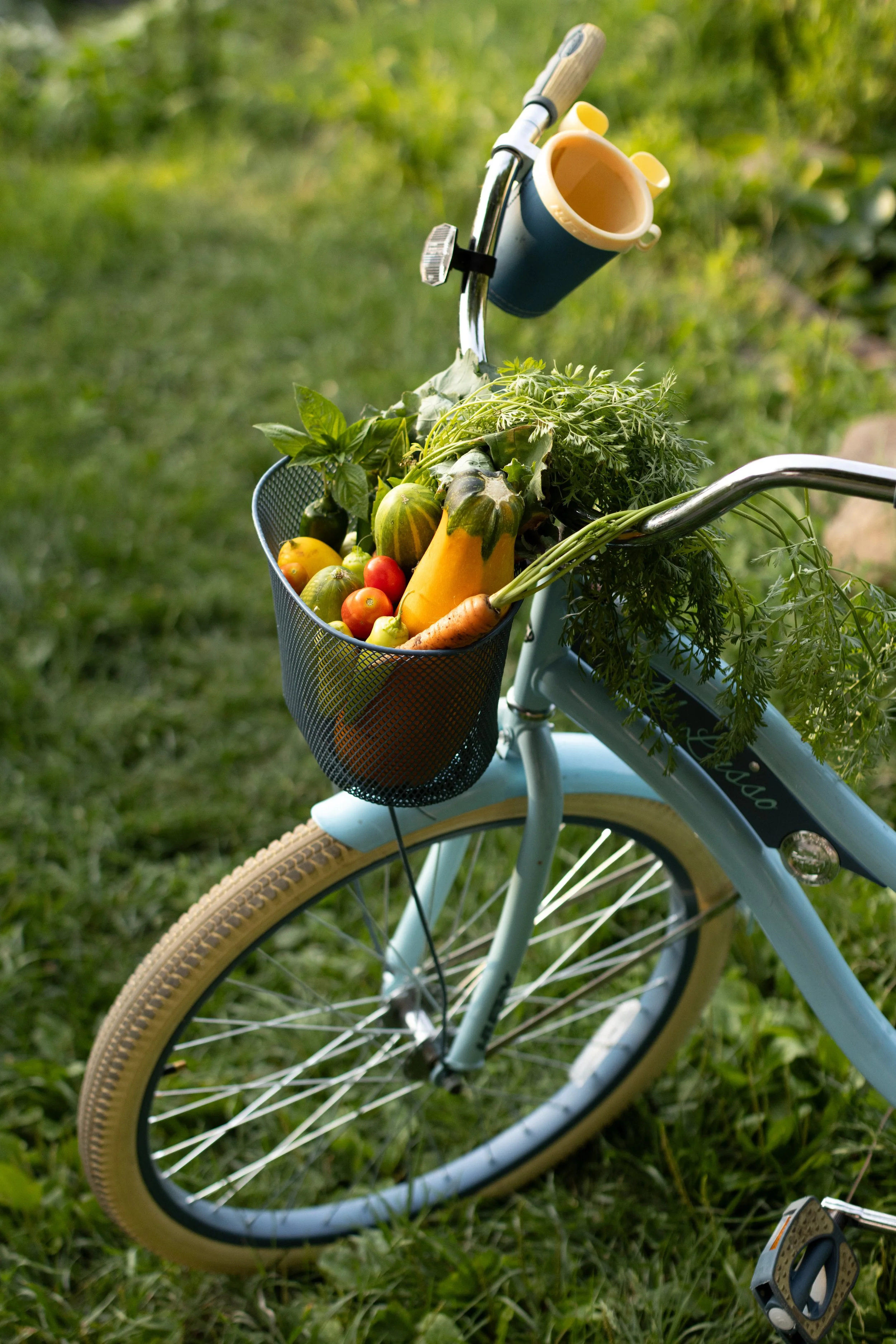 Summer_Winter_Garden_finals-1-3.JPG