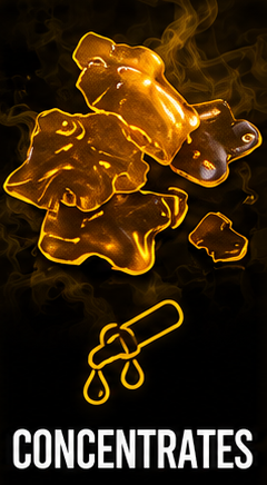 Multiple bear-shaped honey concentrates with a dropper and honey dripping from it, on a black background. The word 'CONCENTRATES' is written at the bottom.