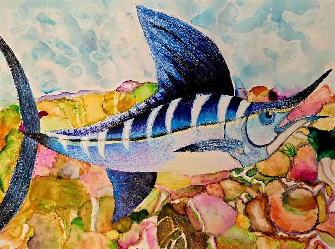 YonaXiao_10_BlueMarlin_ColorpencilAndWatercolor_18x24in_$500.jpg