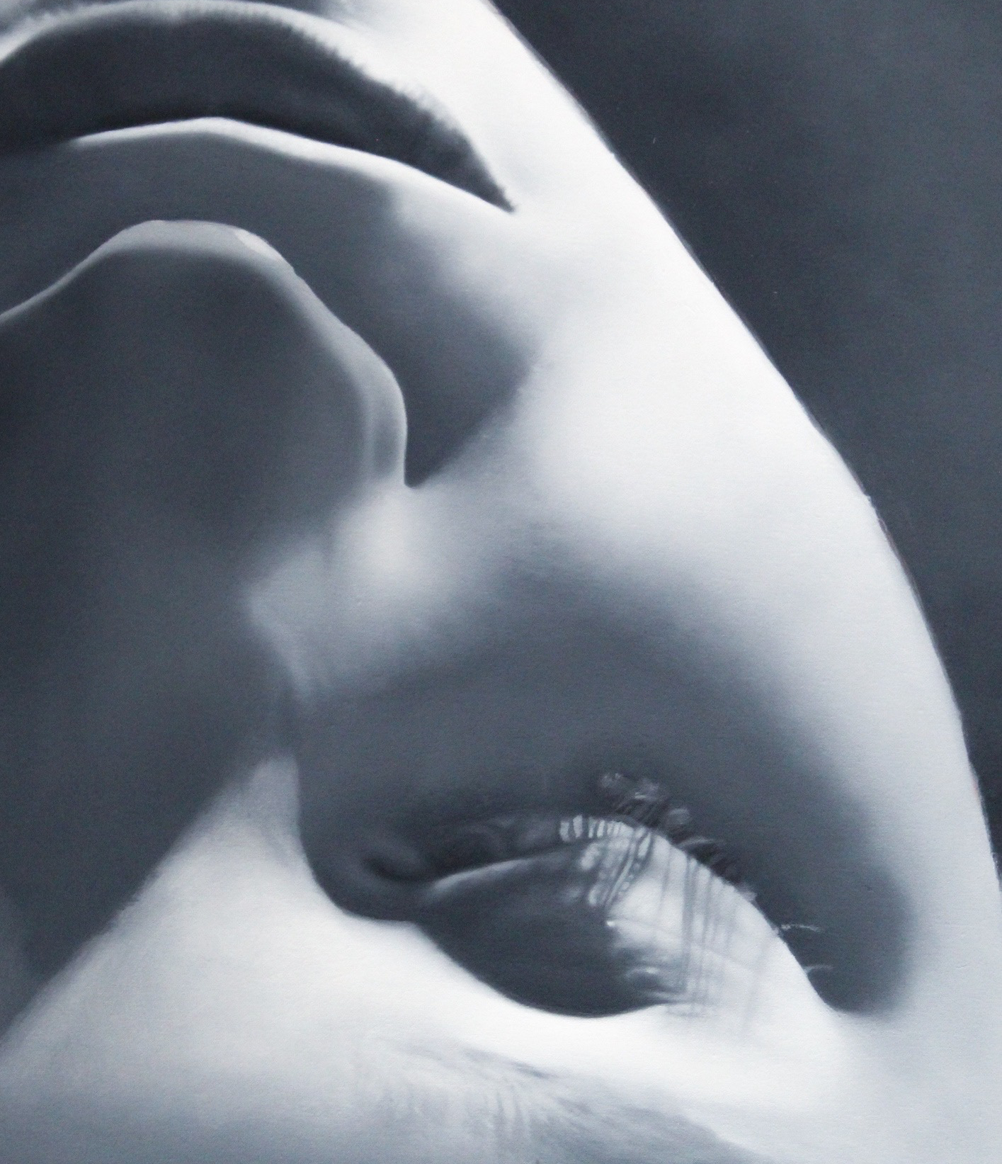 Phoebe Ainslie Current Work Work in Progress 4 2026.png